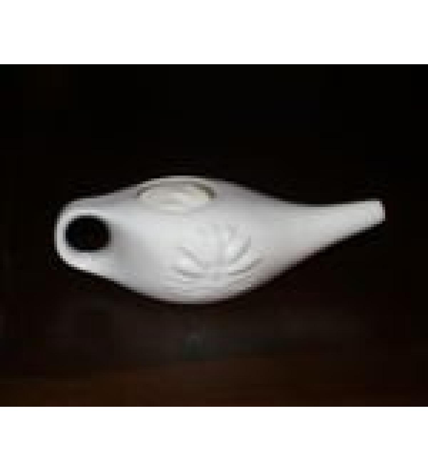Neti Pot SALE! Brand: Neti Pot