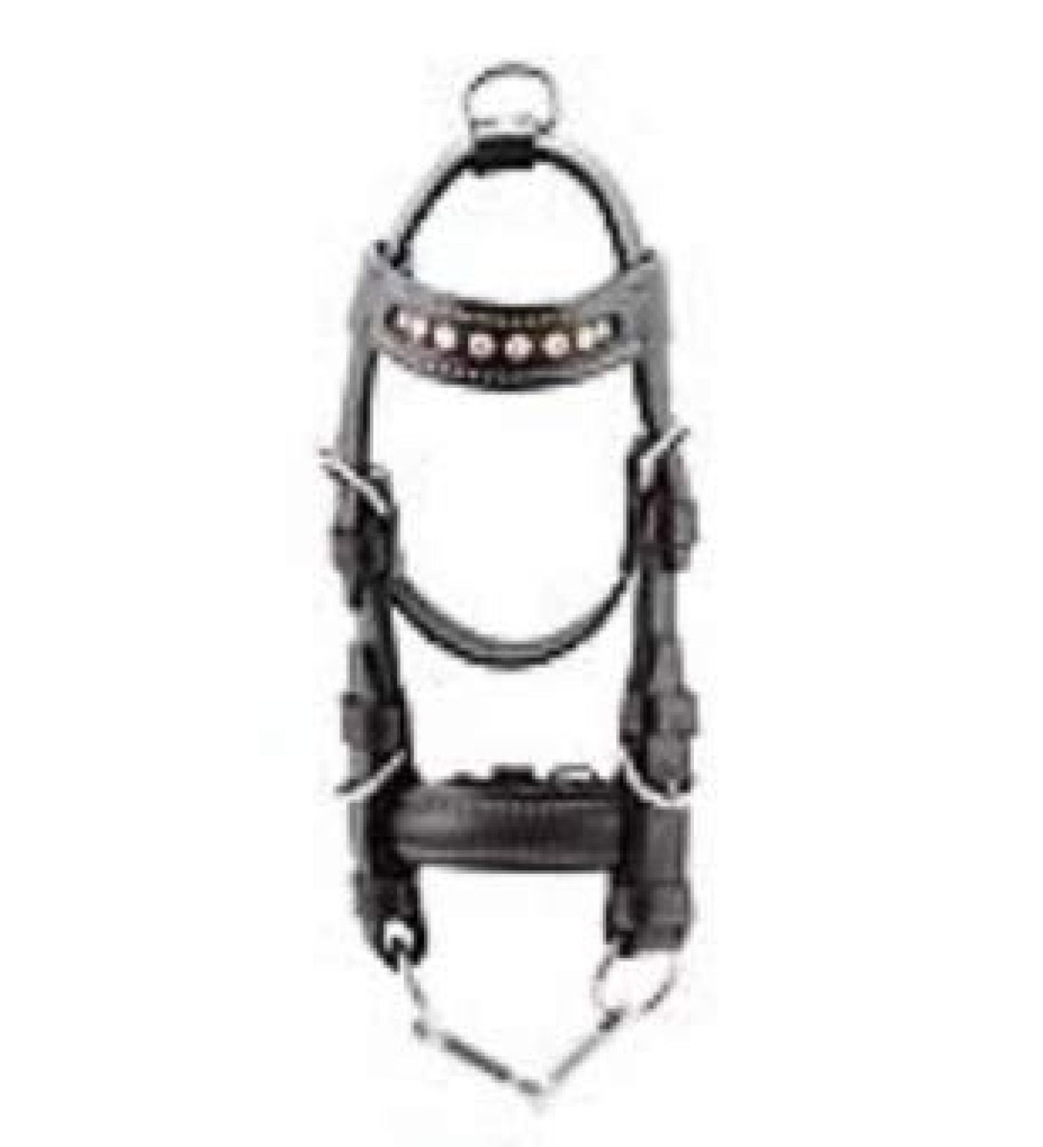 PFIFF Mini bridle black-pink Black/pink