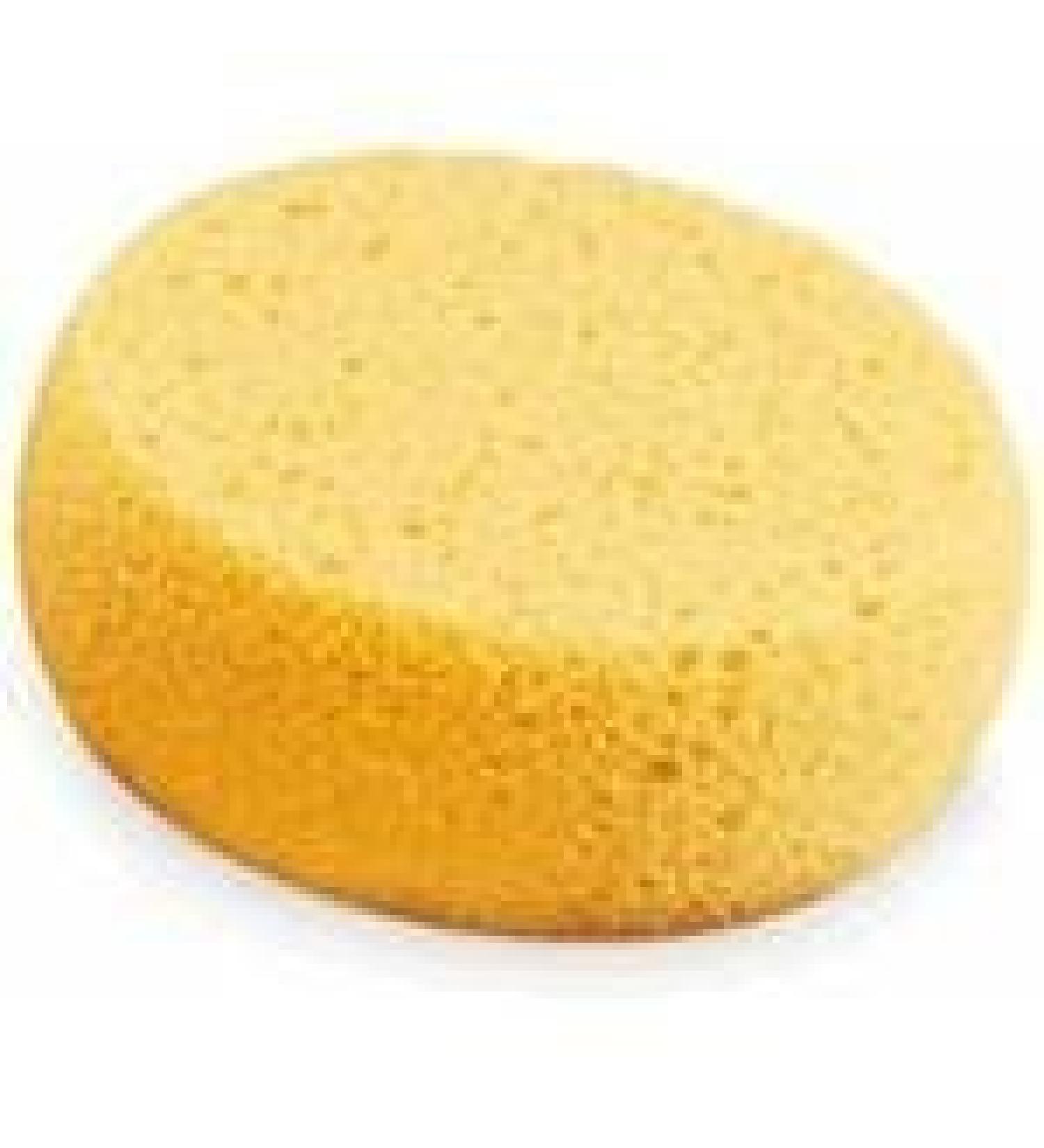 Round Hydro Sponge - 2 3/4 x 1