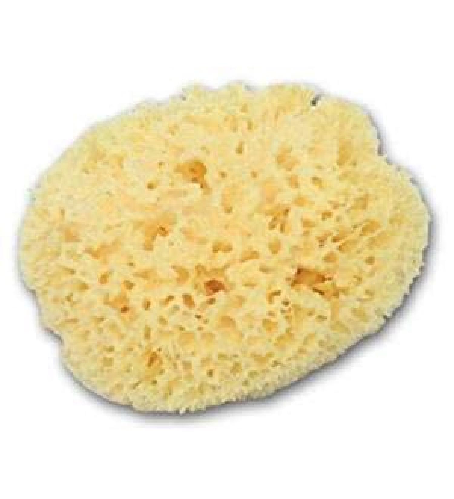 Large Luxurious Greek Silk Soft Natural Sea Sponge Adult Bath 6''- 6.5''