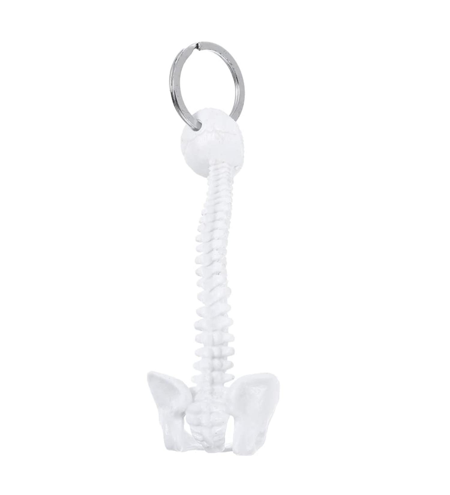 Spine Keychain - White Spine Skeleton Model Keyring | Unique Decor & Miniature Spine Gift - Buy Online on SooperMarket.com