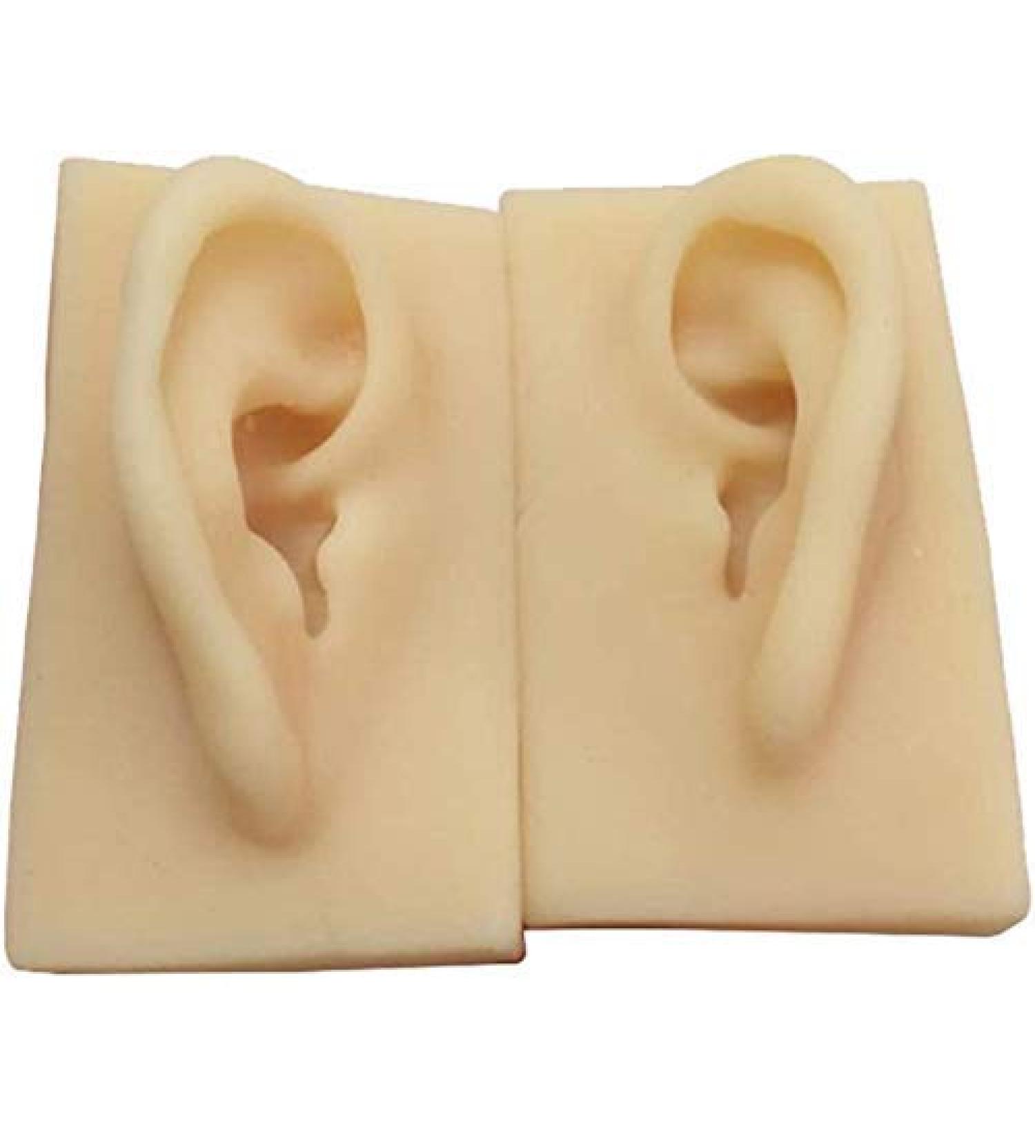 Silicone Ear Template - 1 Pair Silicone Ear Acupuncture Practical Model - Earmold Artificial Ear Simulation for Acupuncture Studs Earring Earlier - Buy Online on SooperMarket.com