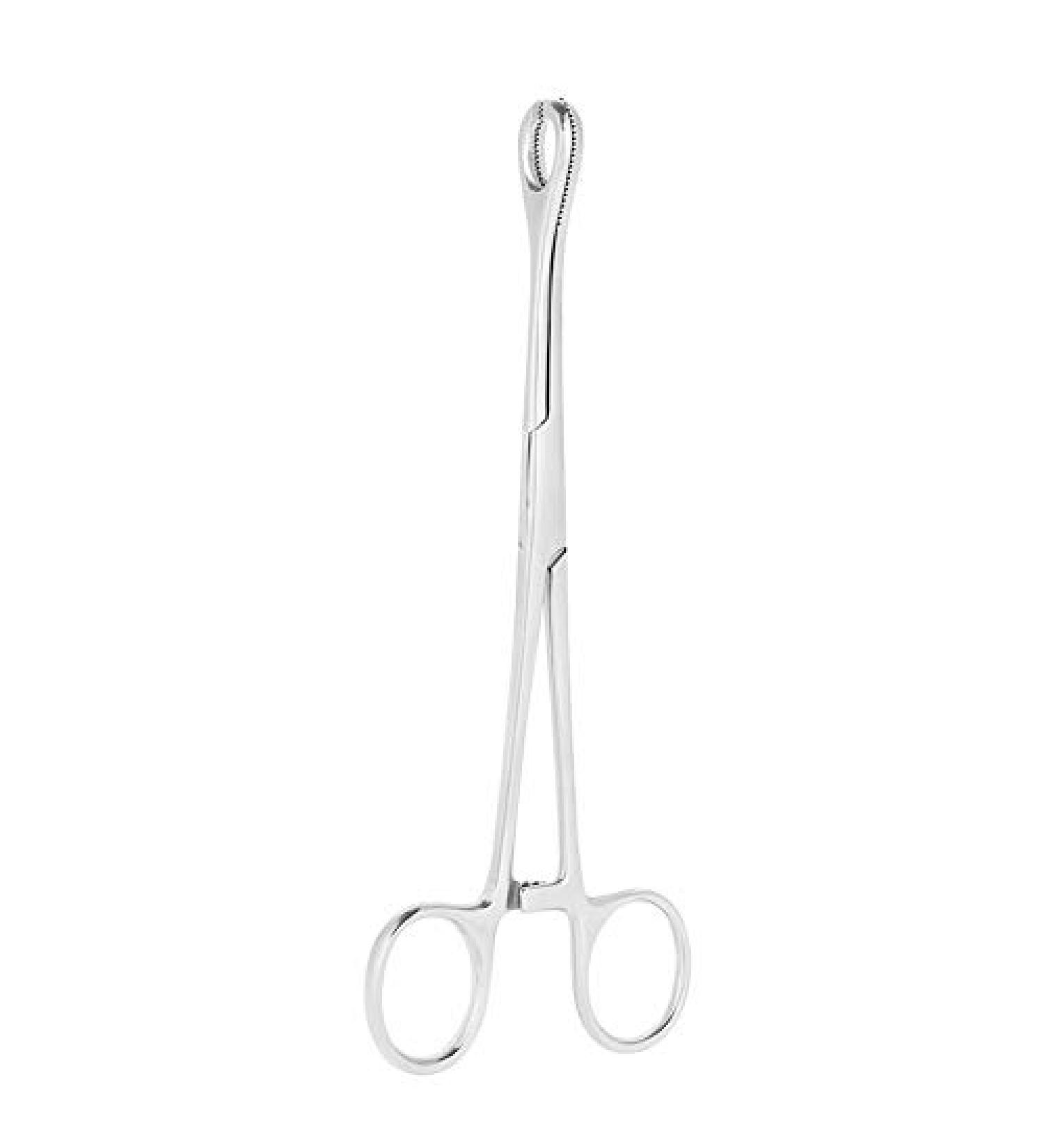Professional Surgical Steel Sponge Tweezers Stainless Steel Round Mouth Closed Jaw Clamps Tongue Septum Lip-shaped Eyebrows Without Slotted Pliers Body Piercing - Buy Online on SooperMarket.com