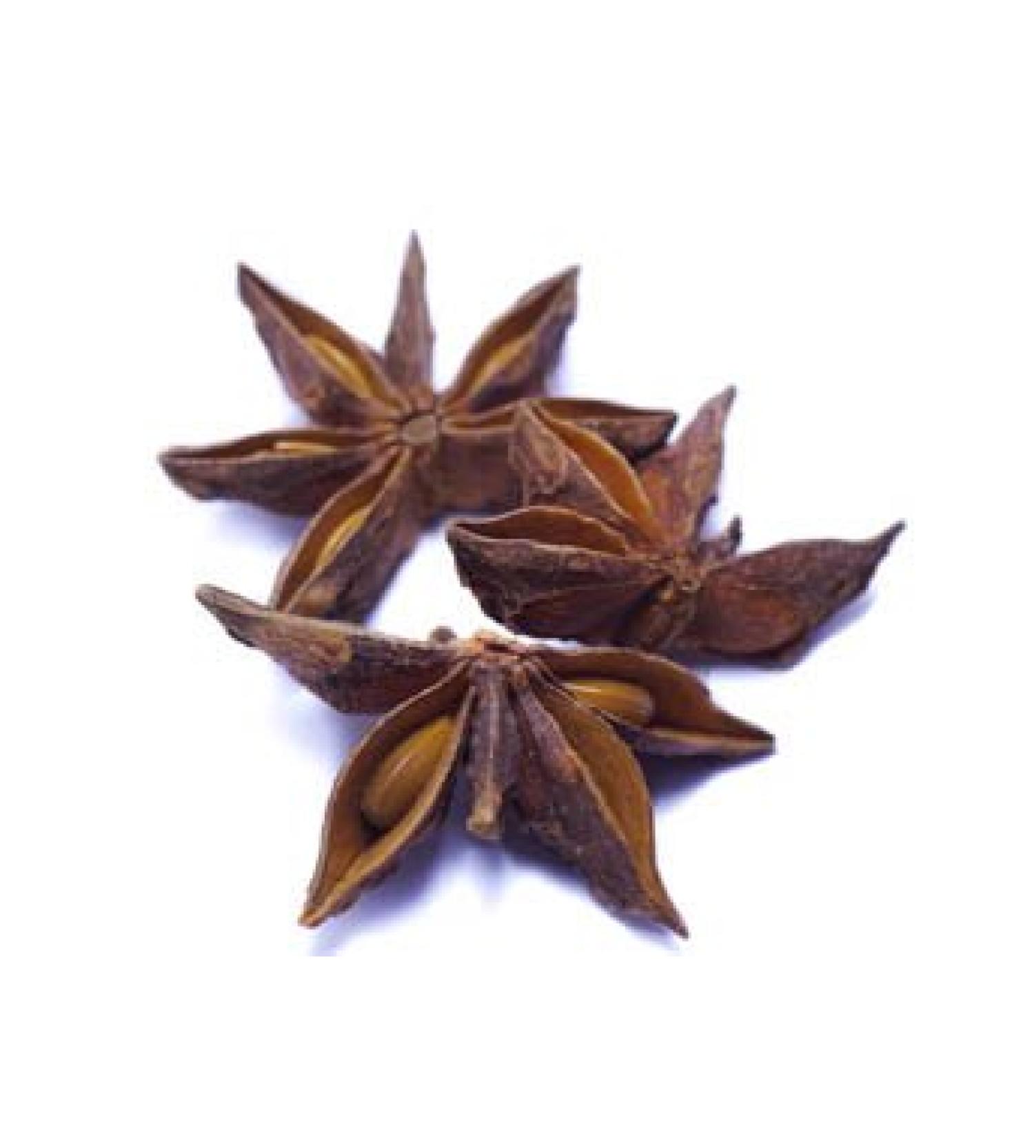 Star anise ORGANIC whole 100g from Dragonspice Naturwaren whole 100g