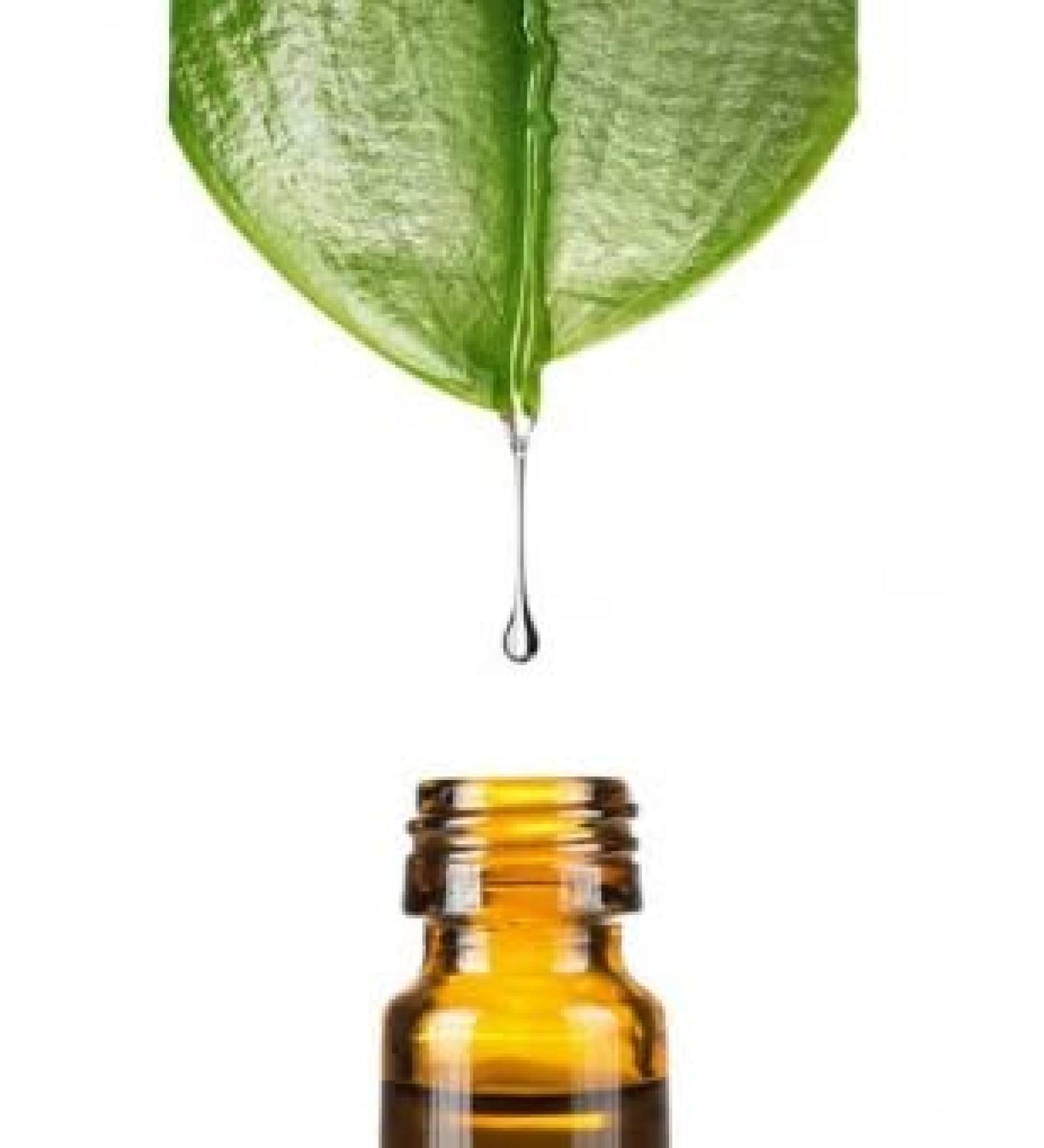Kigeline Extract ORGANIC 100ml by Dragonspice Naturwaren 100ml