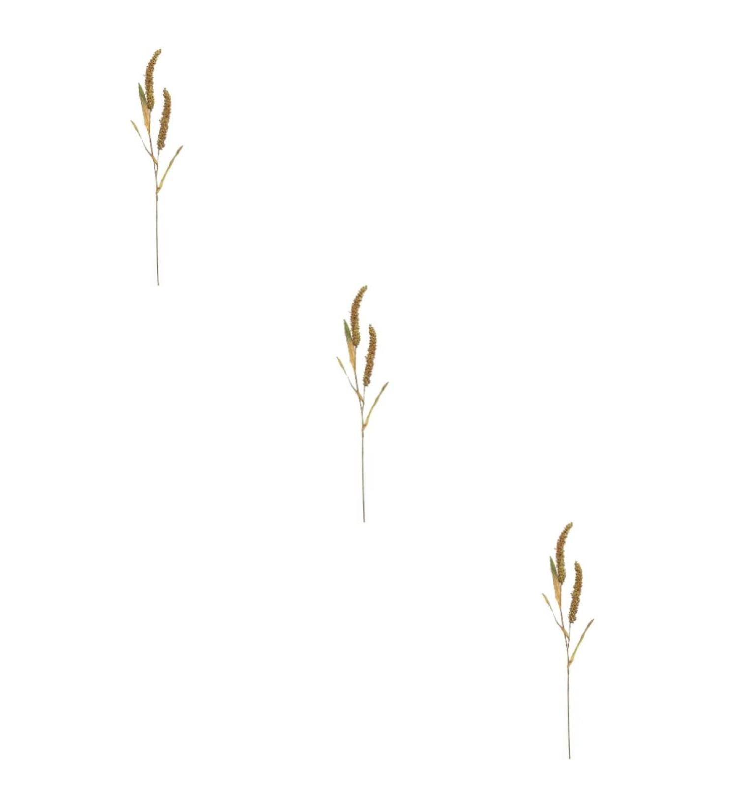 Zerodeko 3pcs Simulated Ears of Corn Plant Decor Dried Wheat Stalks Artificial Wheat Ears Artificial Grasses Bundle Fake Wheat Ears Simulation Wheat Ears Dried Millet Household Iron Straw Greenx3pcs 12X75CMx3pcs - Buy Online on SooperMarket.com
