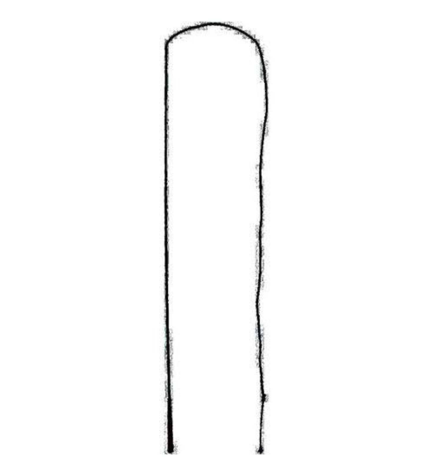 Partrade 072659 Lunge Whip with Popper Black, 72"