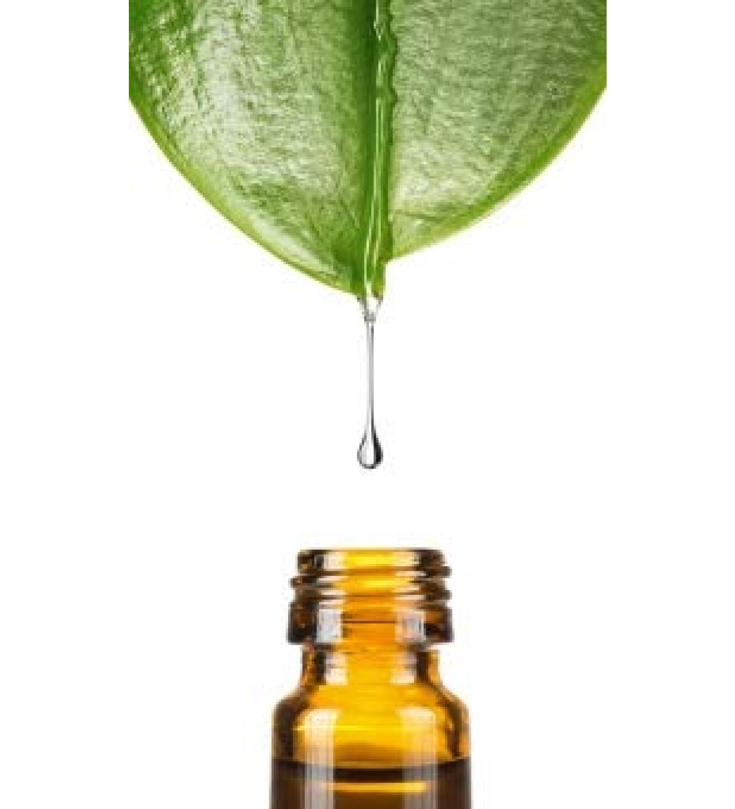 Solvent LV 41 HT 50ml from Dragonspice Naturwaren 50ml 50 Ml