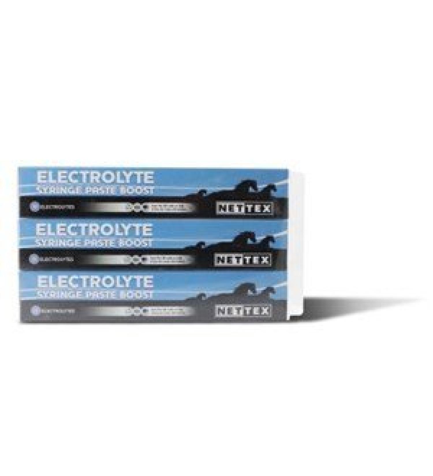 Net Tex Electrolyte Syringe Paste 3 x 30ml