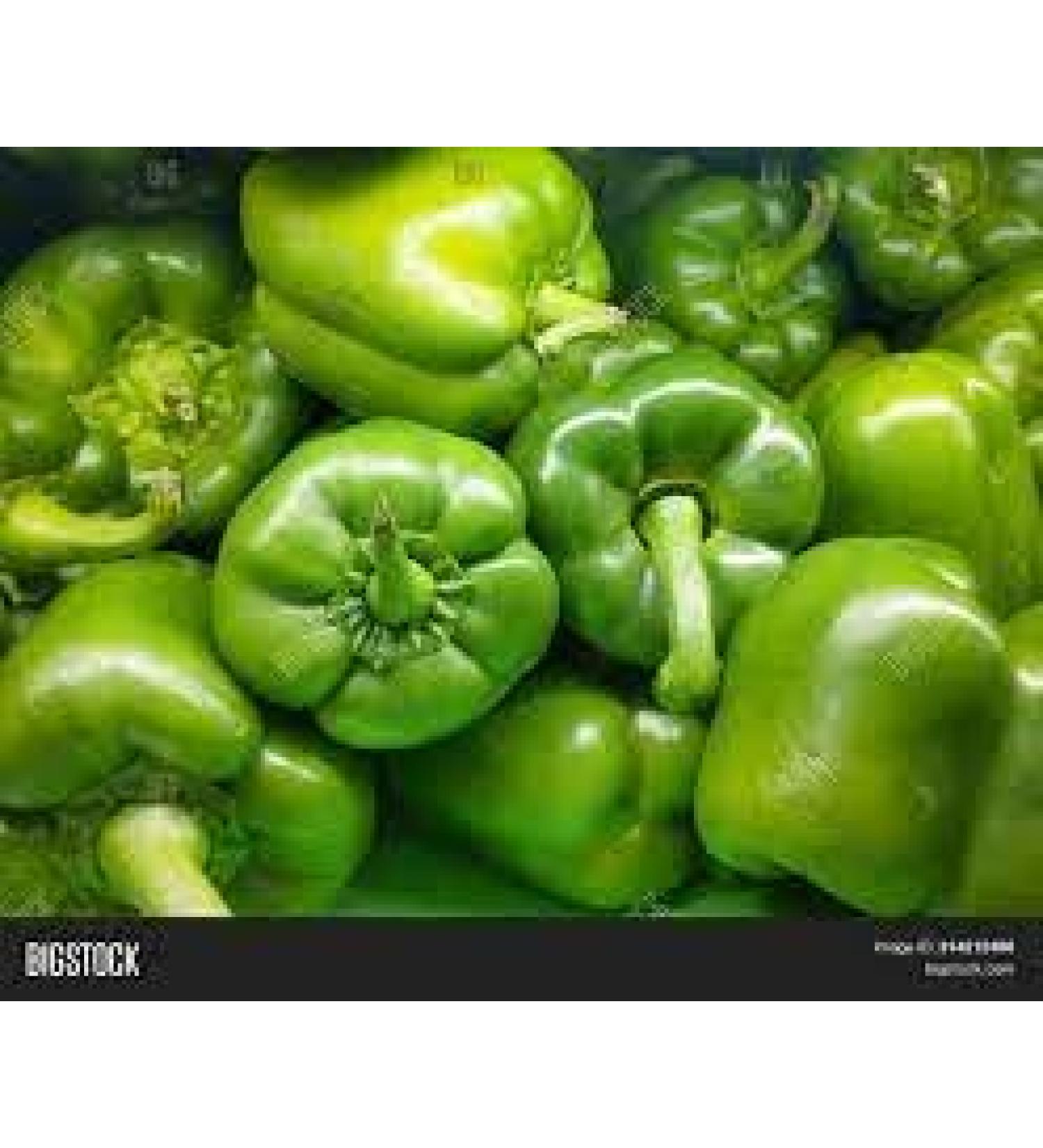 Seelans Paprica Green | 1KG | Green Capsicum | 100% Fresh Vegetable | Indian Origin Next Day Shipping - Buy Online on SooperMarket.com