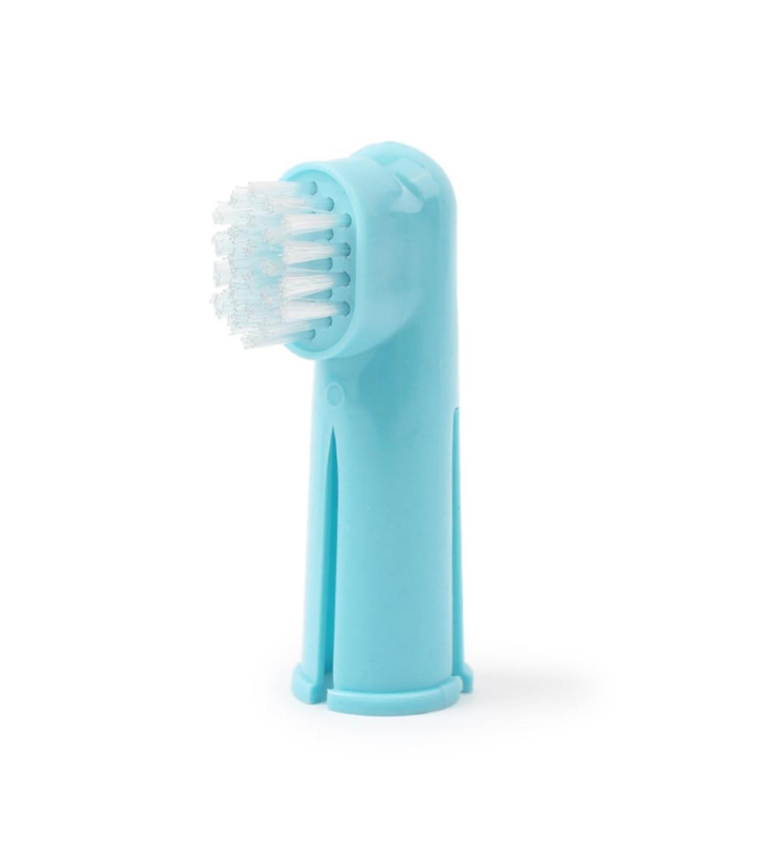 GANAZONO 2 Set 3pcs Toothbrush for Dog Toothpaste Toothbrush Pet Small Dog Toothbrush Pet Grooming - Buy Online on SooperMarket.com