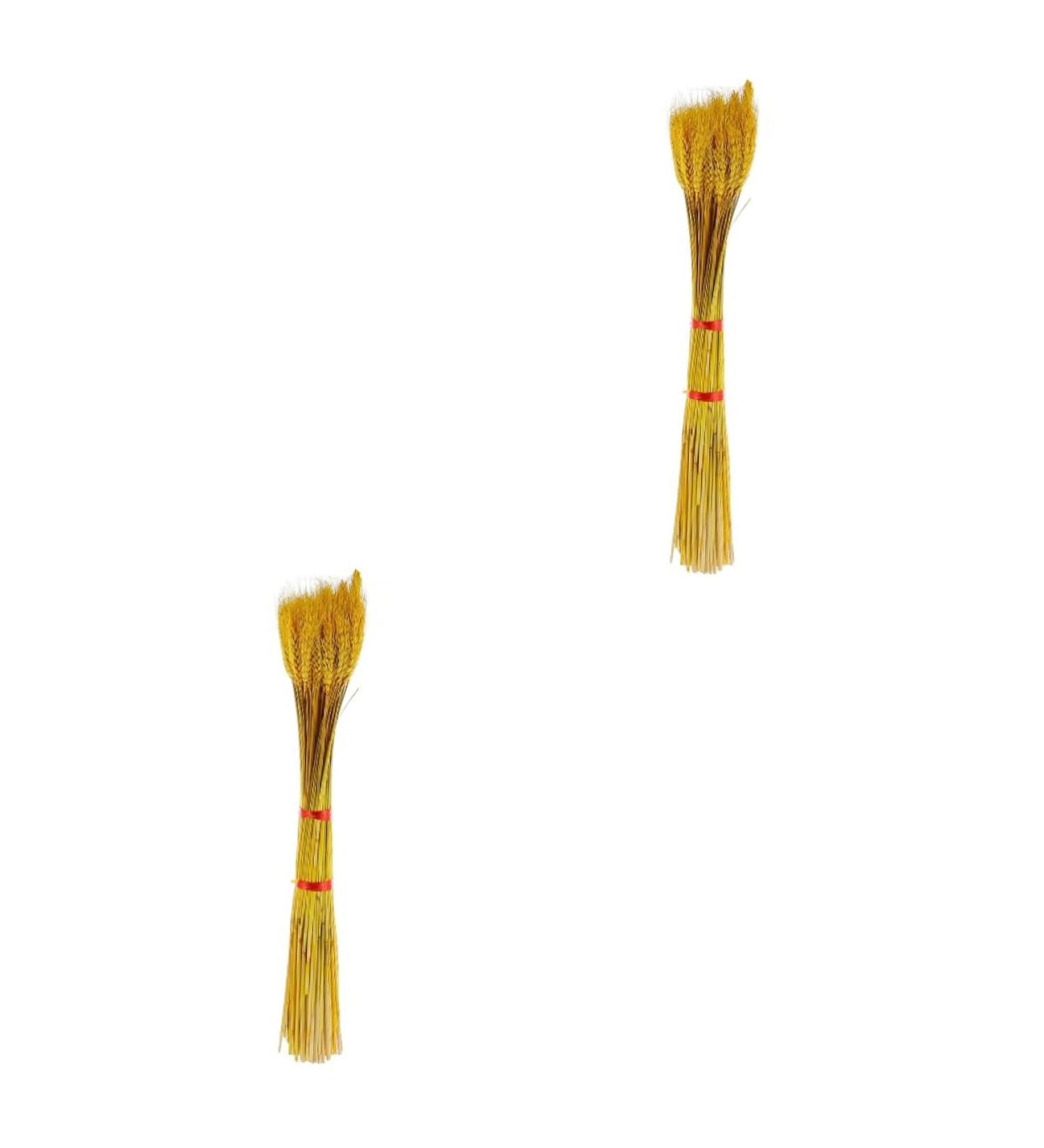 Abaodam 200 Pcs Dried Wheat Ears Bouquet Decked Dried Flower Bouquet Wheat Sheave Bundle Wheat Sheave Flower Wedding Decoration Wheat Stalk Ears of Wheat Gift Dried Flowers. Yellowx2pcs 52X10CMx2pcs - Buy Online on SooperMarket.com