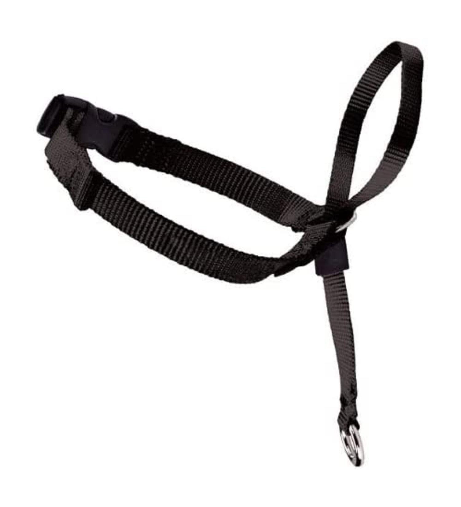 PetSafe Easy Walk Head Collar - Gentle and Effective Control for Dogs - Buy Online on SooperMarket.com