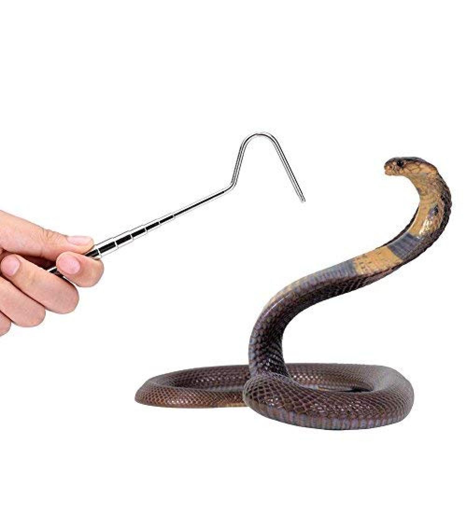Stainless Steel Snake Hook - Extendable 16.5-68cm - Reptile Catcher Tool for Controlling and Moving Snakes - Buy Online on SooperMarket.com