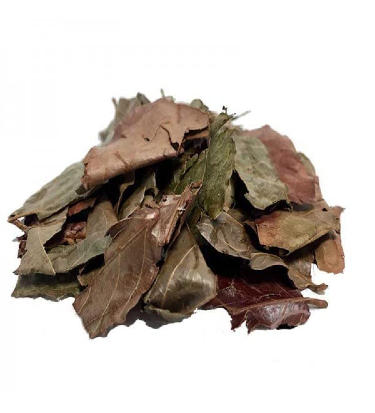 Generic Premium Kinkeliba Leaves 100% Sun Dried Organic Combretum Micranthum 60g - Buy Online on SooperMarket.com