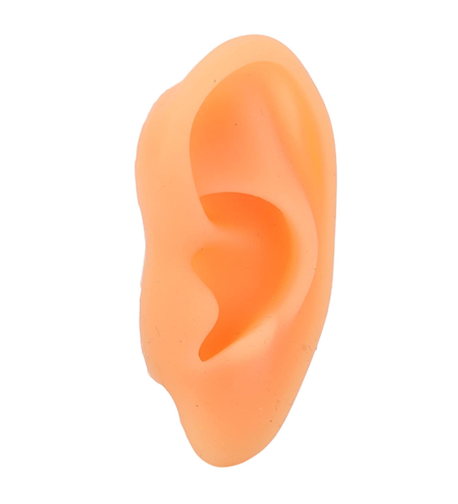 Flexible Waterproof Silicone Ear Model (Right) - Professional Hospital Display - Buy Online on SooperMarket.com