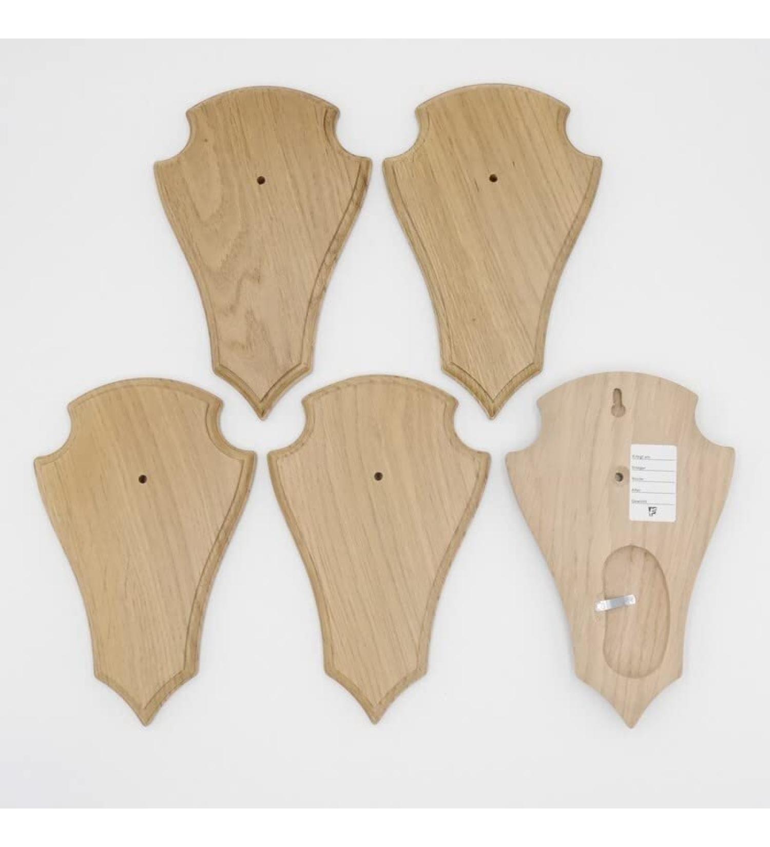 Buy 5-Piece REH Trophy Signs - Light Oak 21x13 cm with Pine Compartment | International Shipping Available - Buy Online on SooperMarket.com