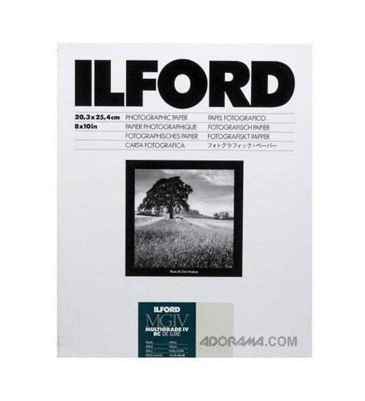 Ilford 1178283 8x10 RC Pearl 25+5 (30) Sheet
