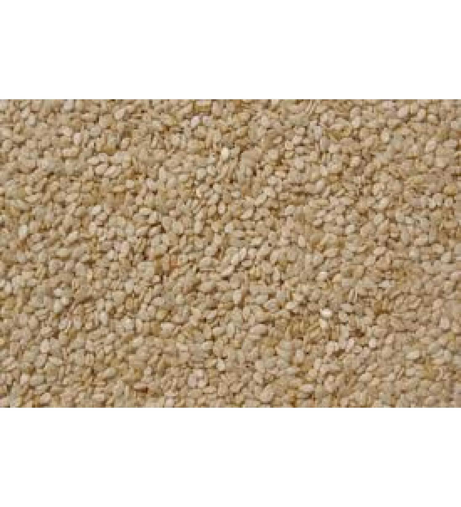 White Sesame Seeds |100g *FREE U.K POST* SESAME SEEDS