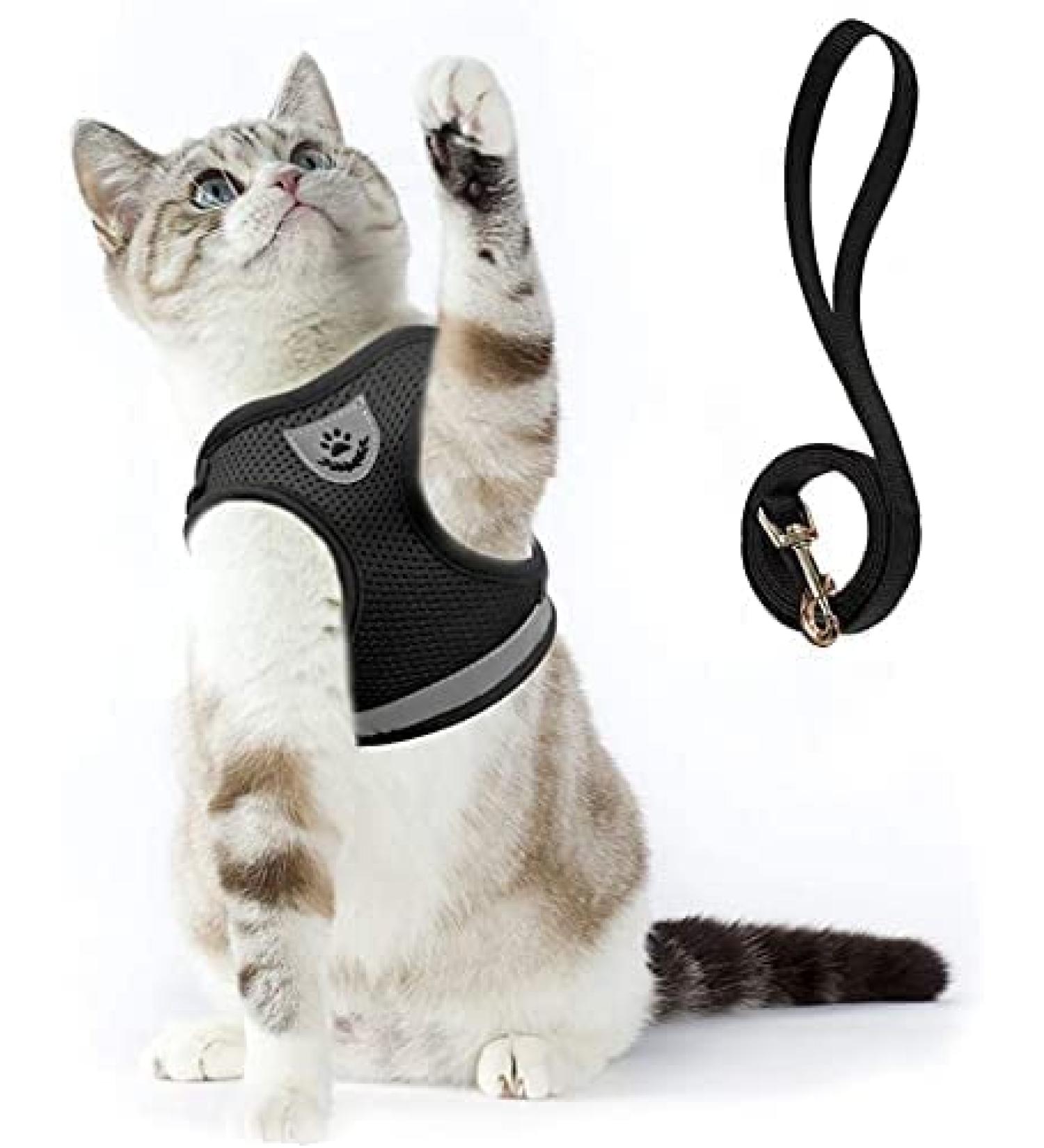 Buy Supet Breaking-Safe Cat Dishes & Soft Vests with Leash for Kittens & Small Dogs - S (26-32 cm) Black | International Shipping Available - Buy Online on SooperMarket.com