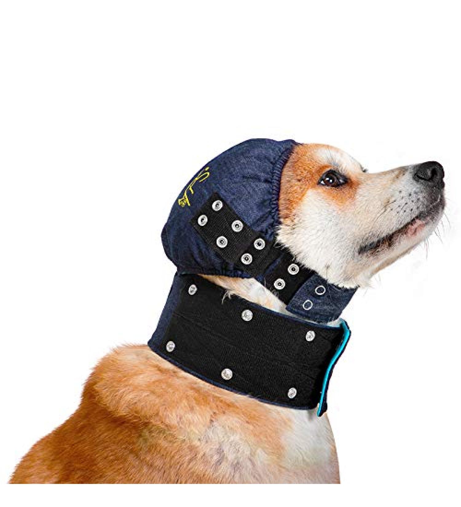 MPS Medical Pet Shirt Head Cover for Dogs Large - Buy Online on SooperMarket.com
