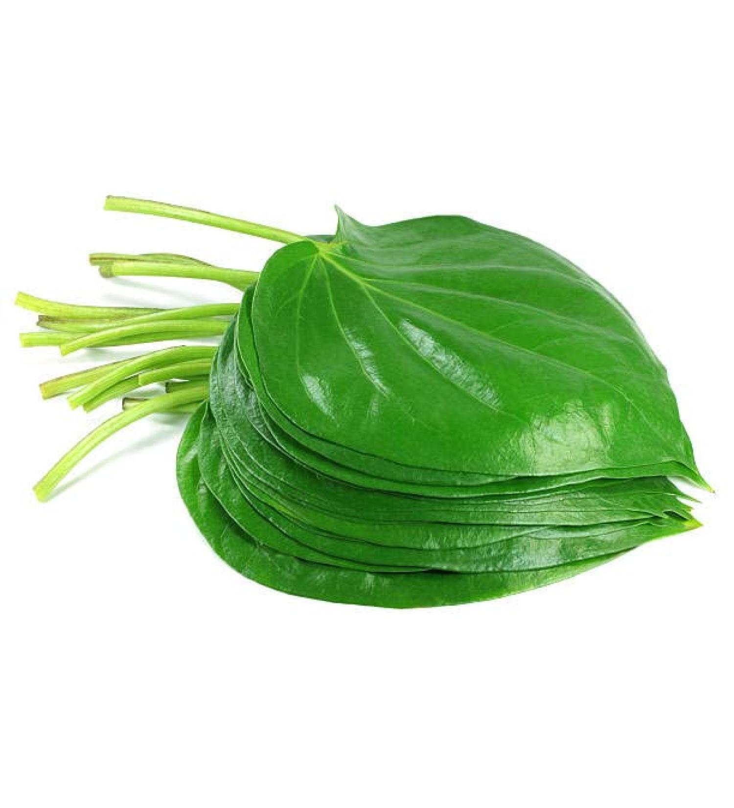 Fresh Betel Leaves | Beetle Leaves Approx.10Pieces | Pan Leaves | Leaf Betel | Fresh Leaf | Used for Pooja & Edible | Indian Origin | Approx 50G