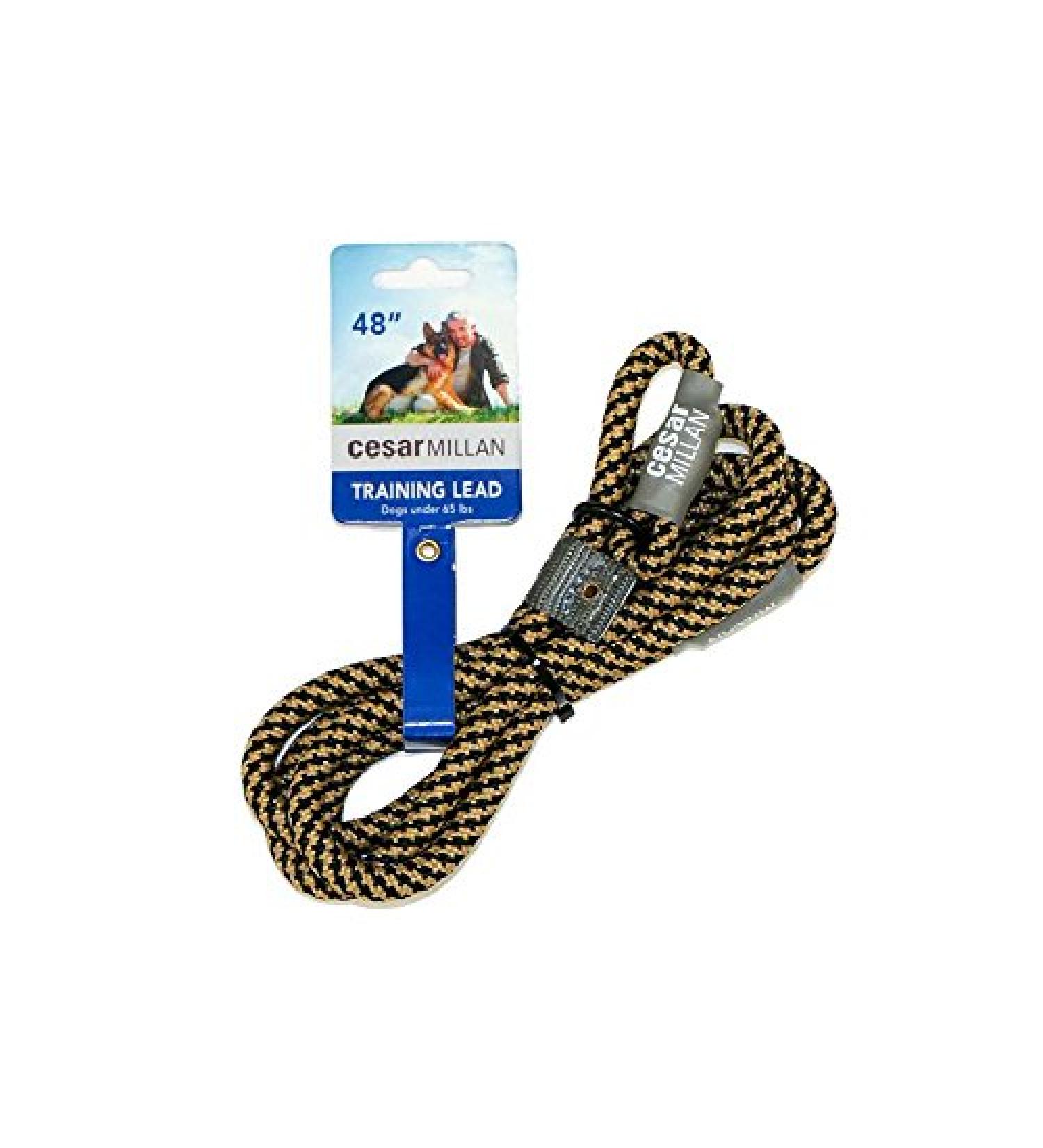 Cesar Millan Dog Leash & Collar 2in1 - Slip Lead Training Line for Small/Medium Dogs - 120cm Black/Yellow - Buy Online on SooperMarket.com