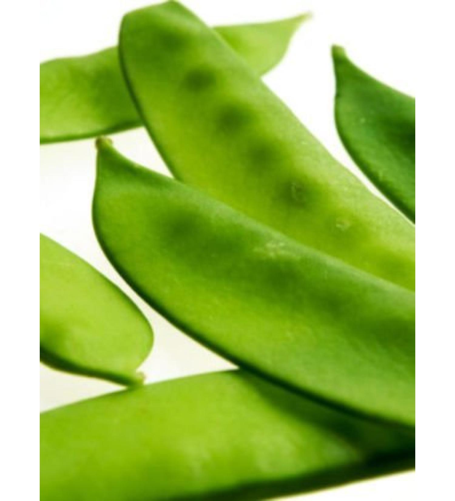 25+ Organic Oregon Giant Neve Peas Aperto Semi impollinazione ENORME! - Buy Online on SooperMarket.com