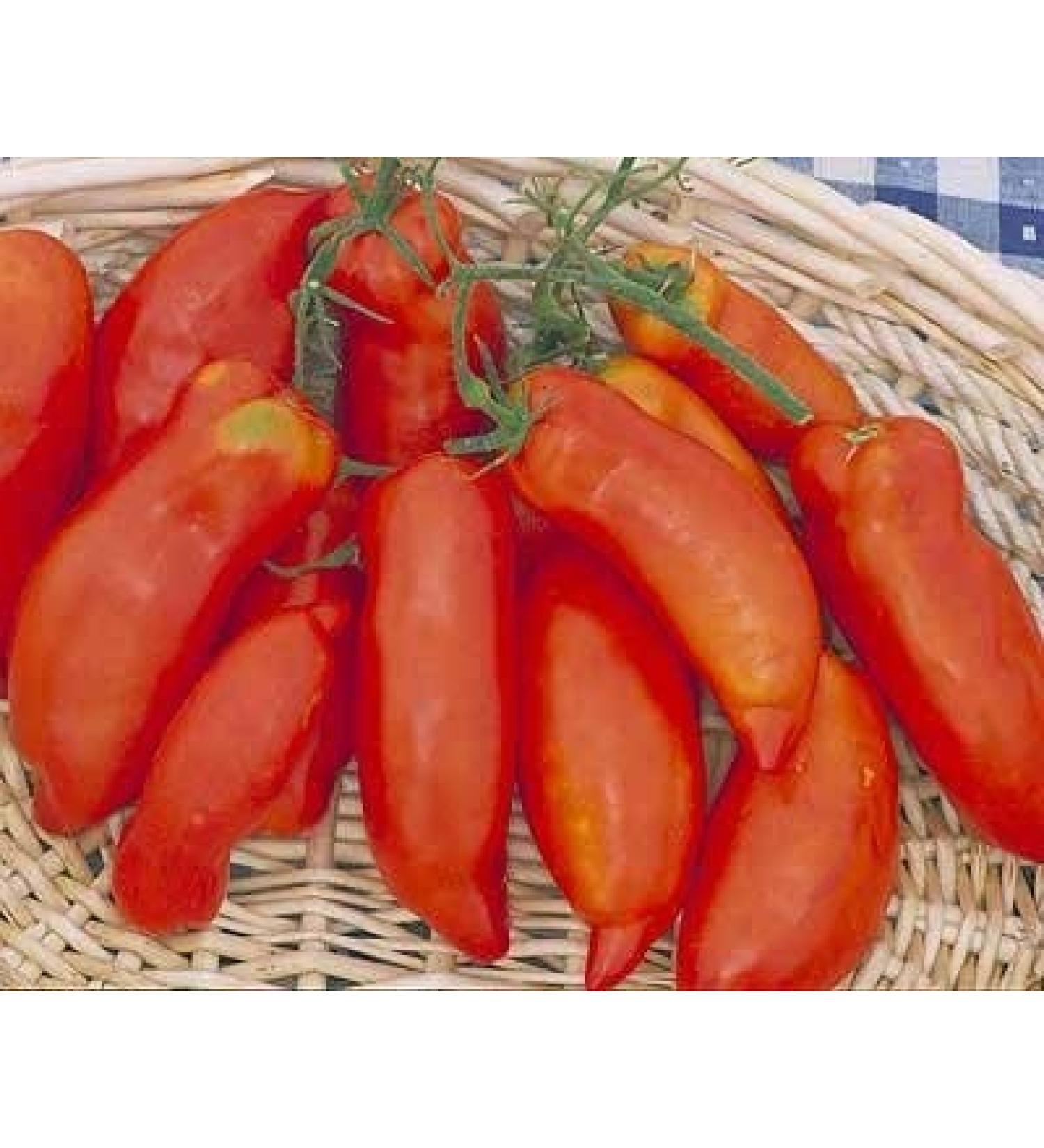 30 semillas de S per de Pasta Italiana - Pasta de tomates