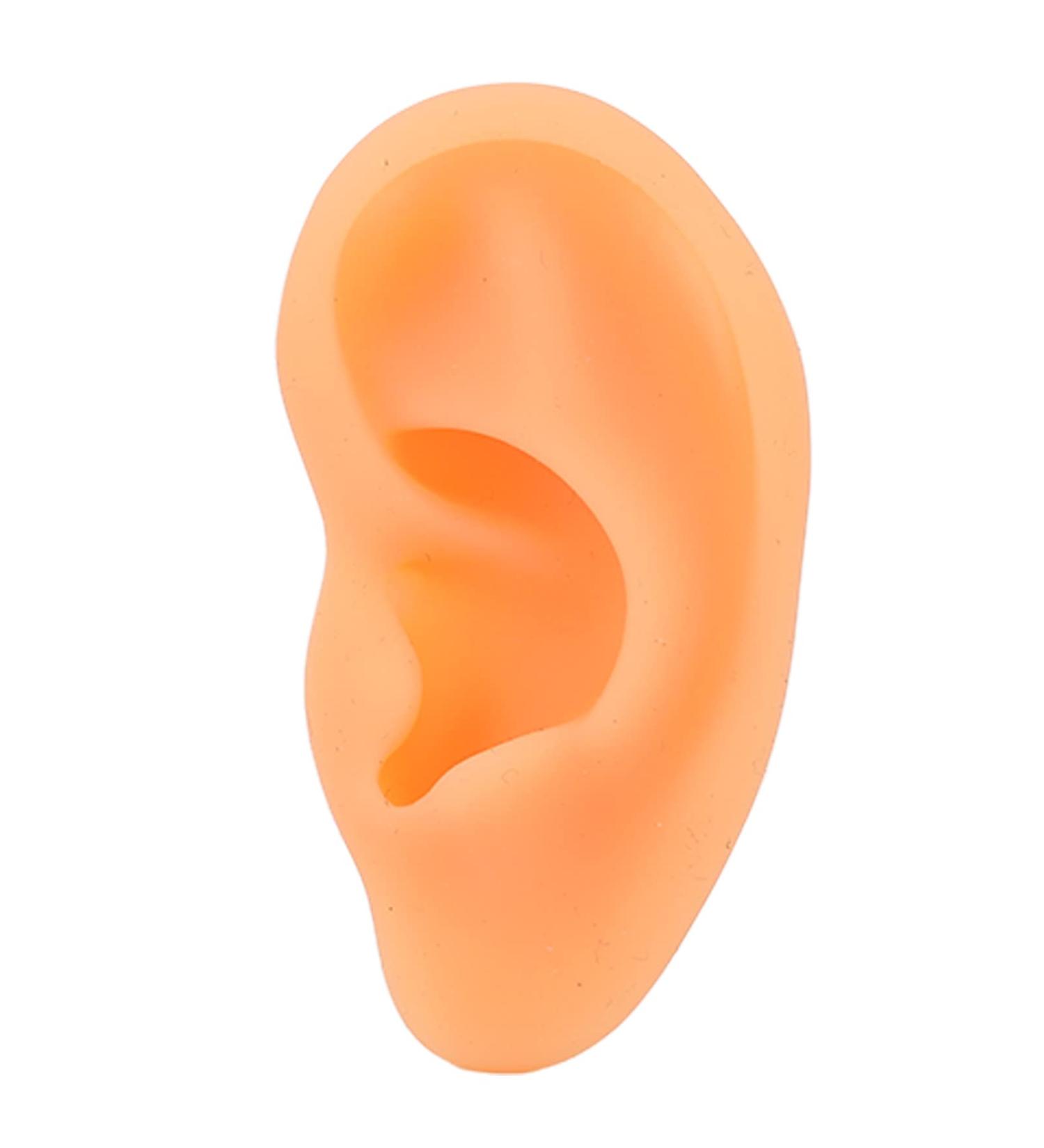 Rubber Fake Ear Model for Jewelry Display and Piercing Practice (Right Ear) - Buy Online on SooperMarket.com