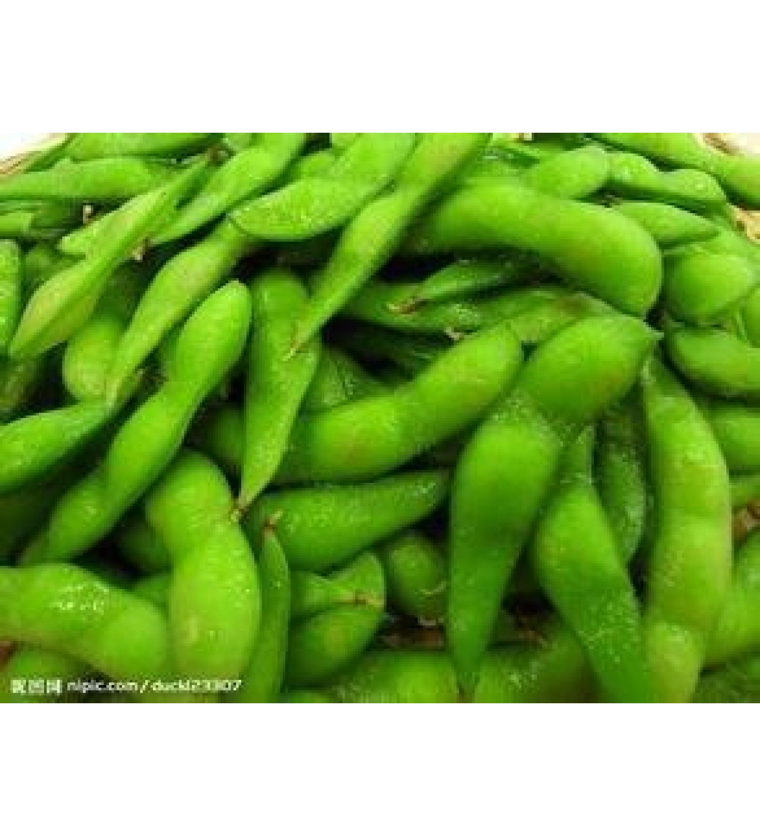Trasporto Libero 1 Confezioni 20 di Edamame Semi soia Semi di soia Verde Verdura C032