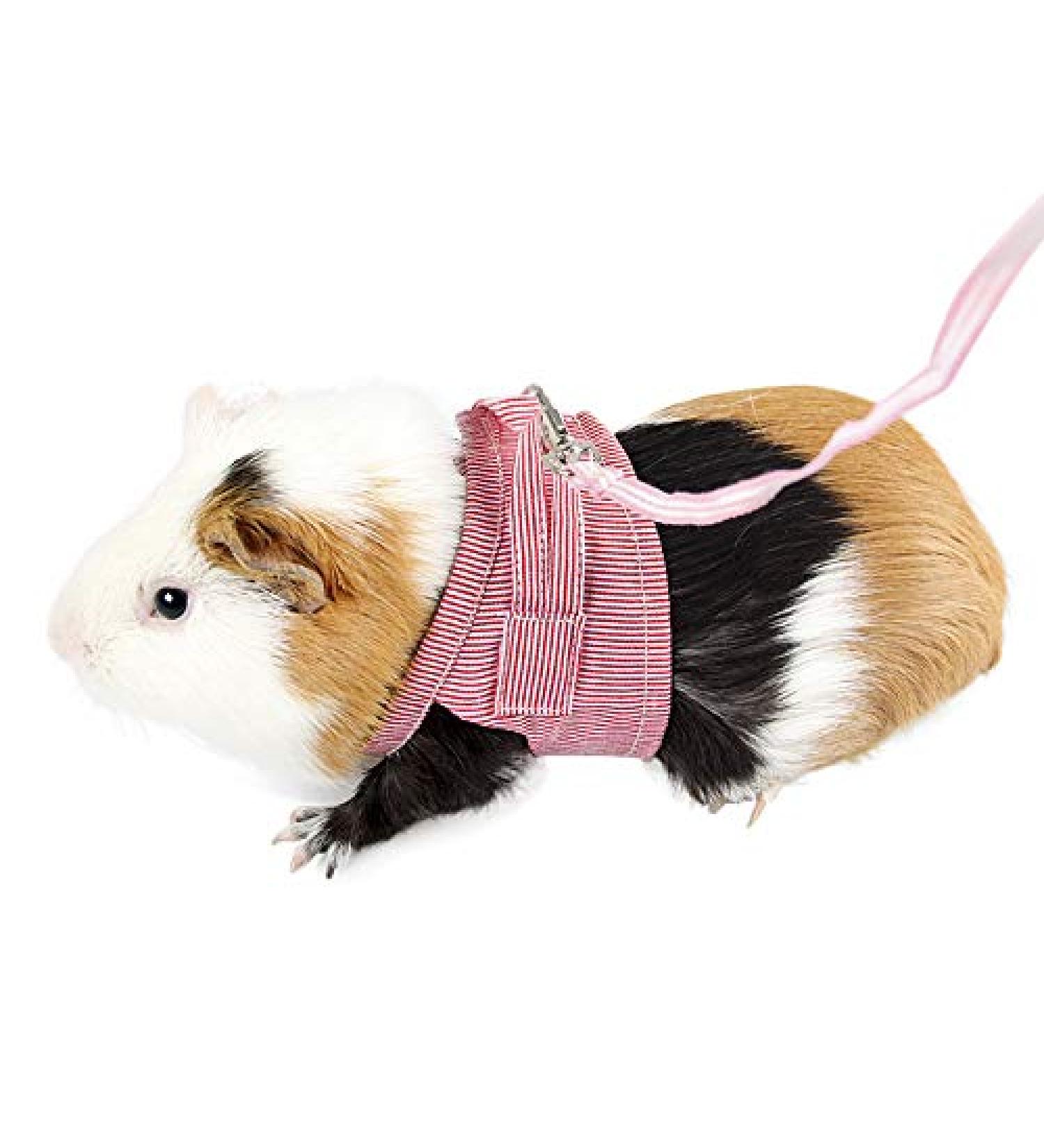 YJZQ Guinea Pigs Safety Harness Adjustable Stripe Pet Harness Vest Lead Rope for Rats Iguana Hamster Ferrets Small Animal Pet Training or Walking red - Buy Online on SooperMarket.com