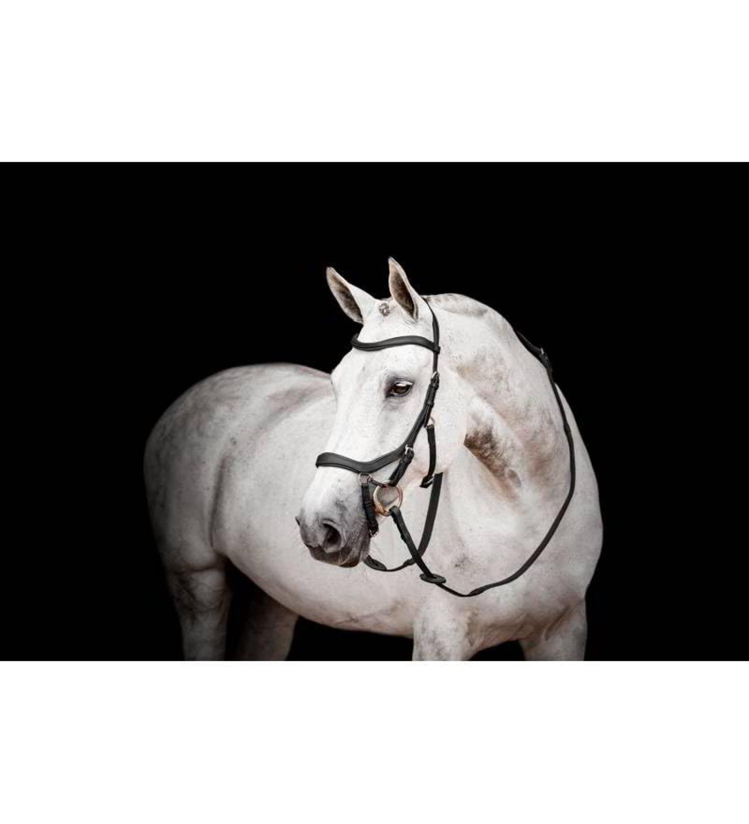 Horseware Micklem 2 Competition Bridle Black Cob Black