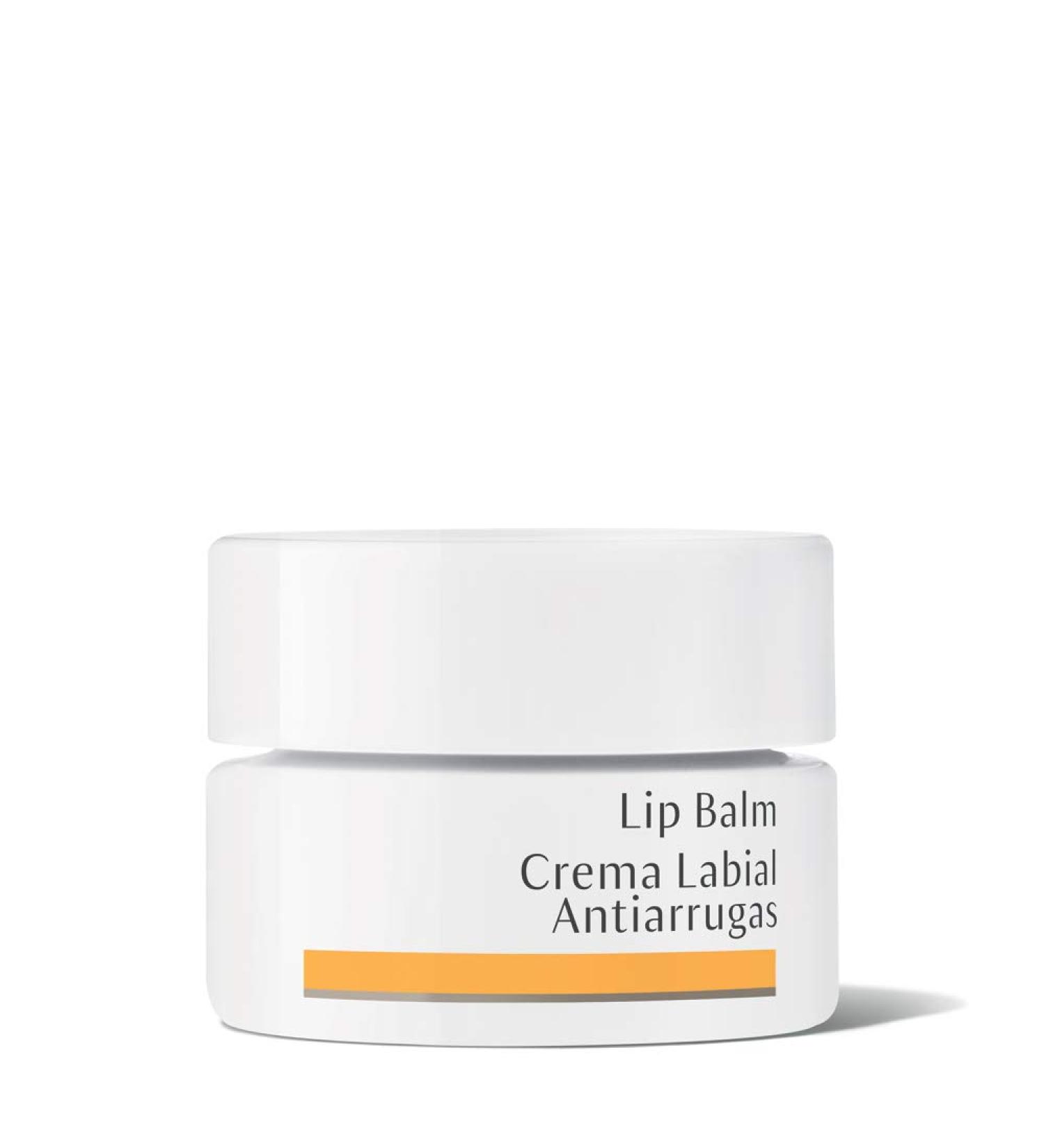 Dr. Hauschka Lip Balm  0.15 Fluid Ounce