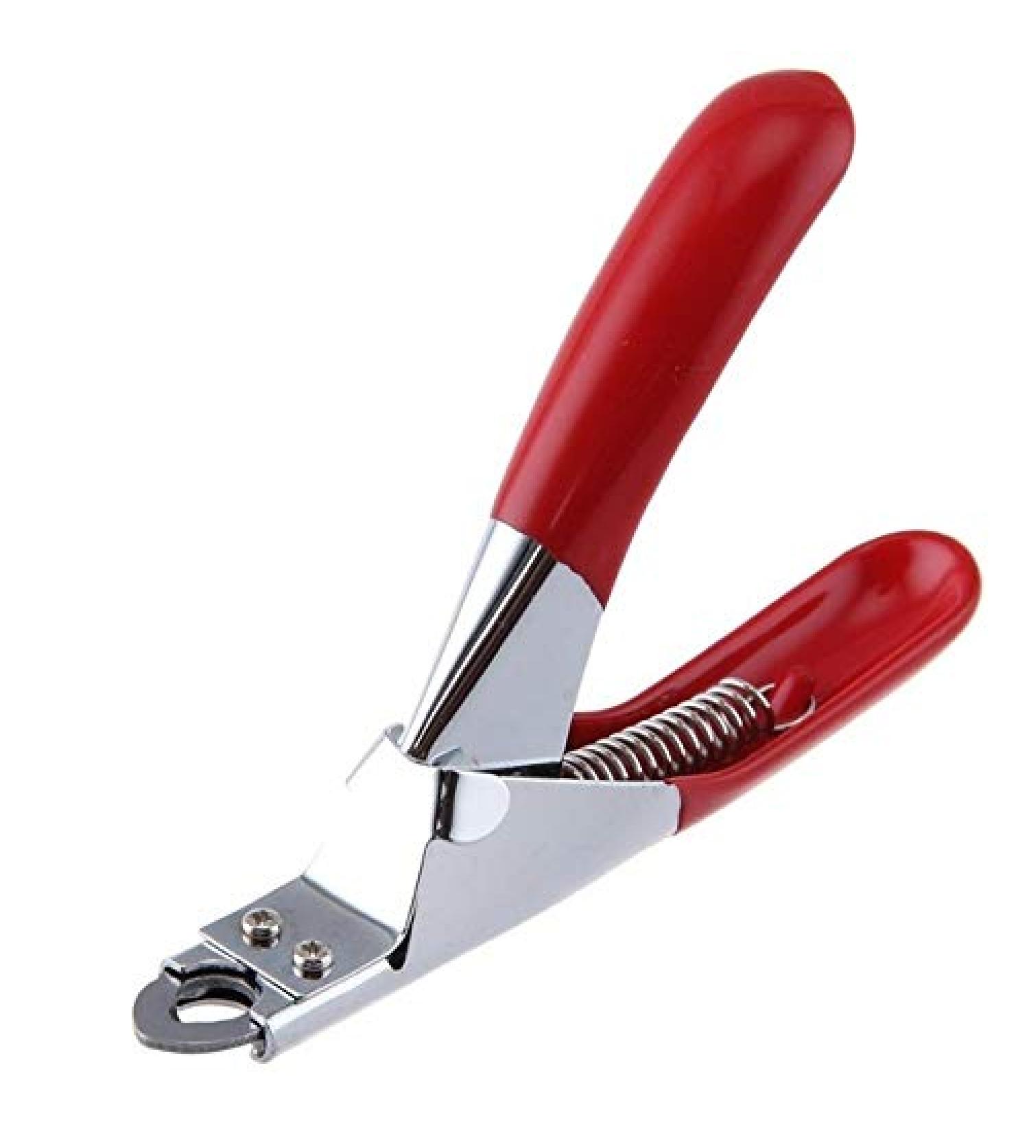 Tide brand tribe Pet nail clippers pet nail clippers dog cutter cat bird guinea pig animal claw trimmer scissors tool (Color : Red) - Buy Online on SooperMarket.com