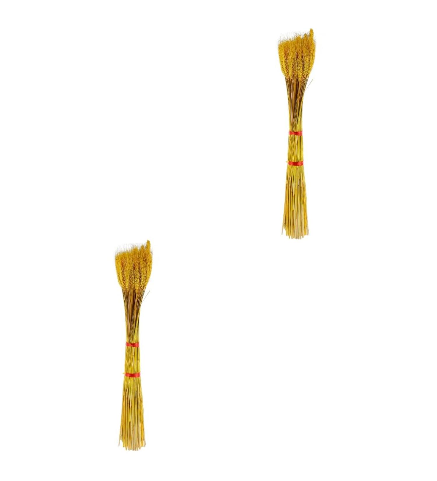 MAGICLULU 200 Pcs Dried Wheat Ears Bouquet Decor Wheat Stalk Natural Wheat Ear Dried Flowers Bouquet Dry Flowers Floral Arrangement Wheat Ear Wedding Wheat Ear Dried Flowers. Barley Props Yellowx2pcs 52X10CMx2pcs - Buy Online on SooperMarket.com