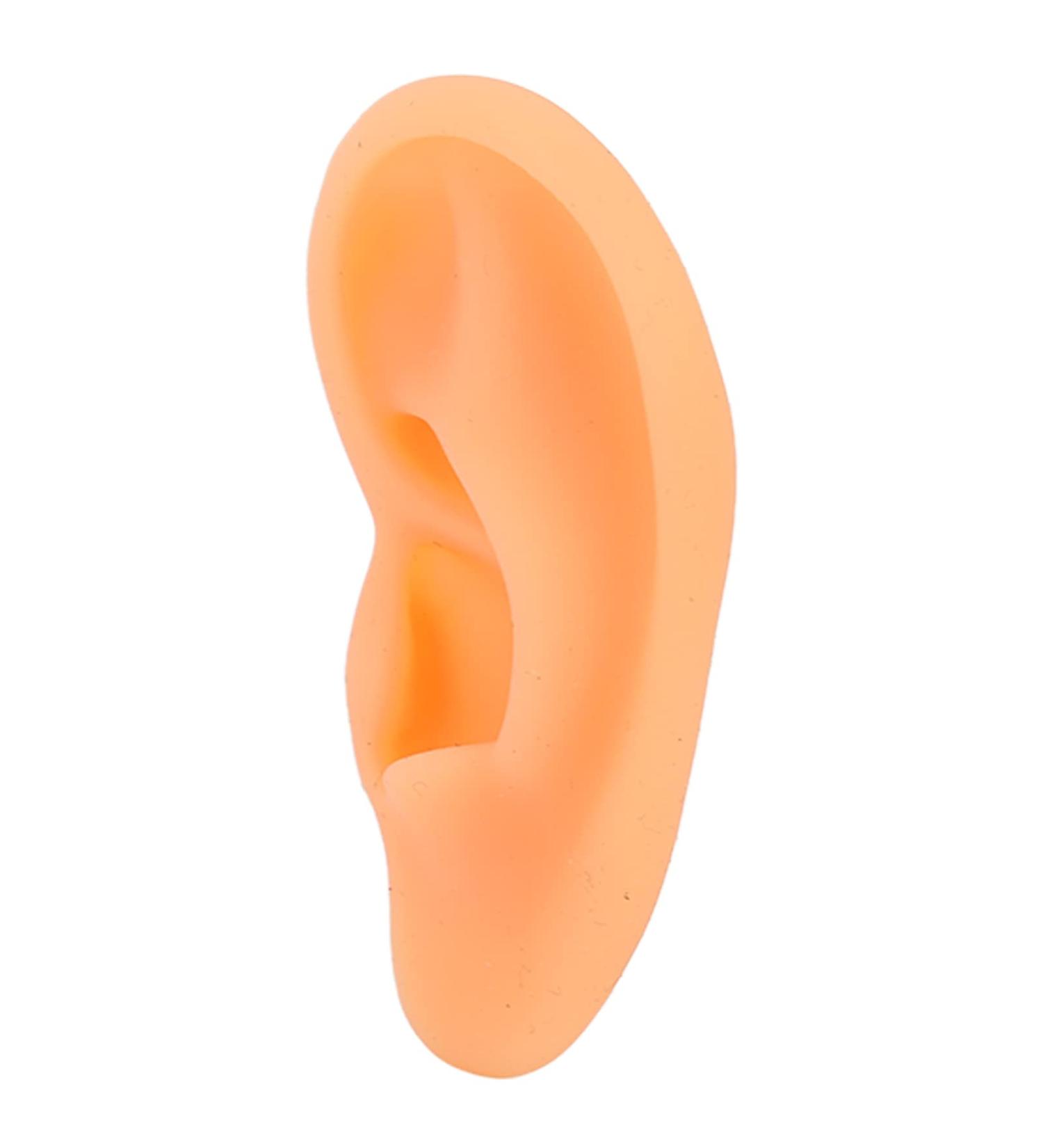 Ear Display Mould Waterproof Silicone Educational Professional Ear Model for Hospital(Right) - Buy Online on SooperMarket.com