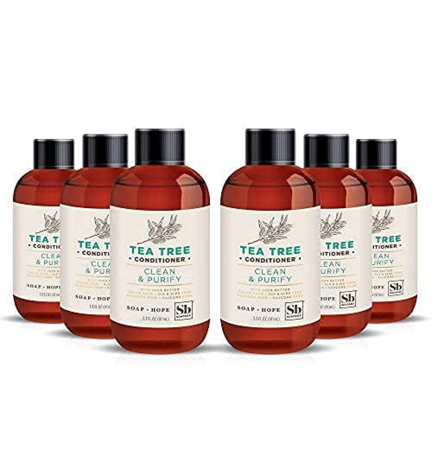 Soapbox Tea Tree Travel Size Conditioner 3.3oz - Pack of 6 | Best International Shipping - Buy Online on SooperMarket.com