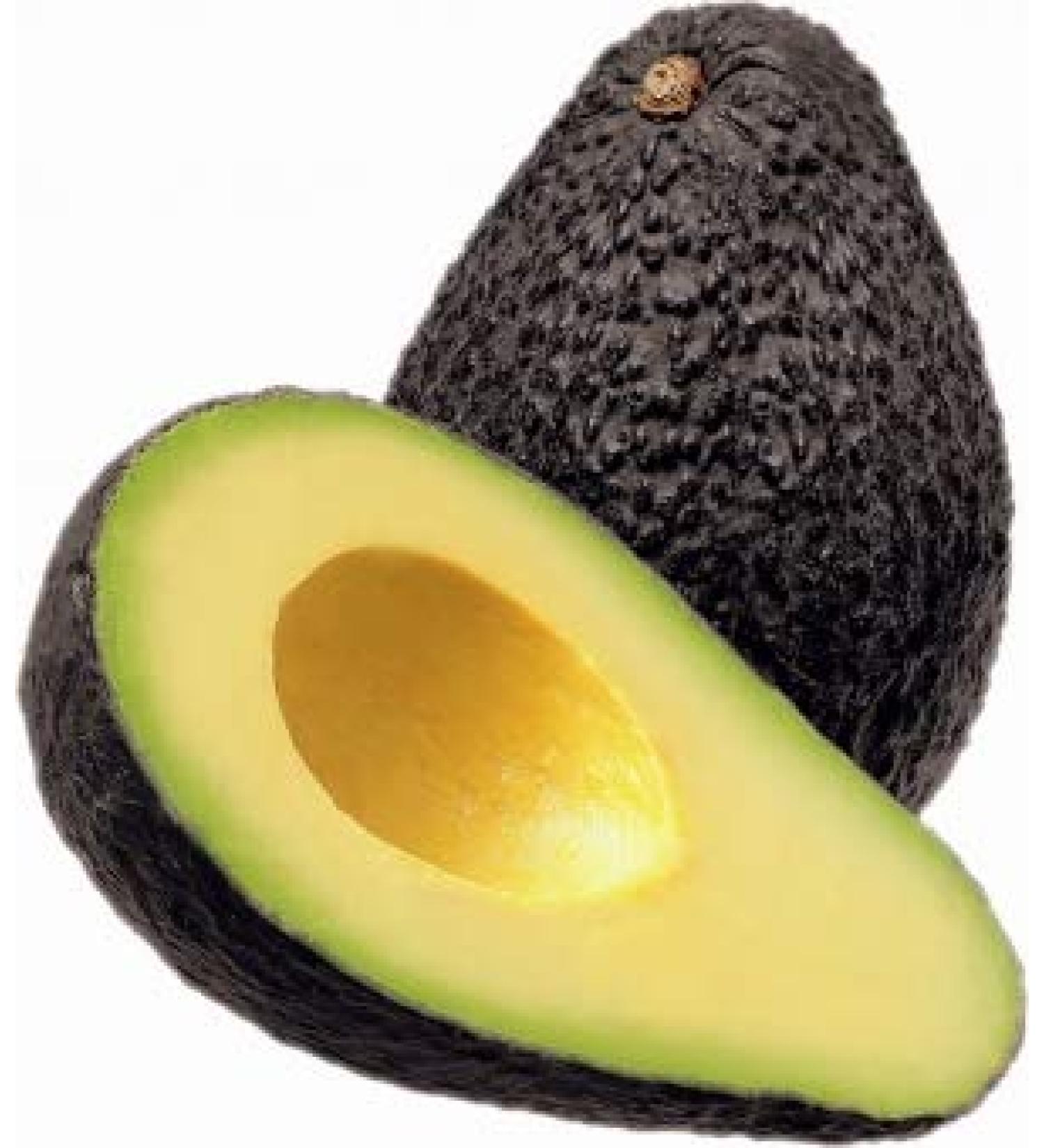 Avocadin HU25 50g from Dragonspice Naturwaren 50g