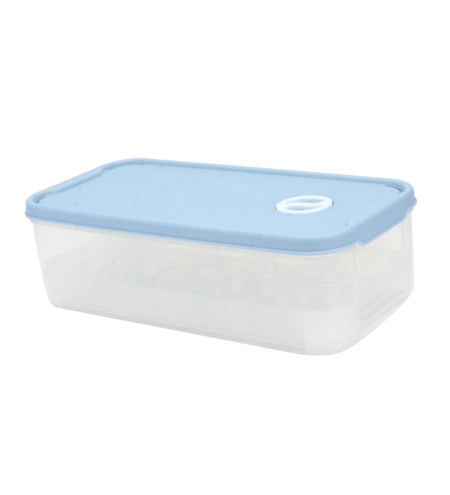 RORPOIR 1pc Box Egg Storage Box Storage Bins Refrigerator Eggs Storage Trays Egg Tray Blush Grid re-usable Blue 24x11.5cm - Buy Online on SooperMarket.com