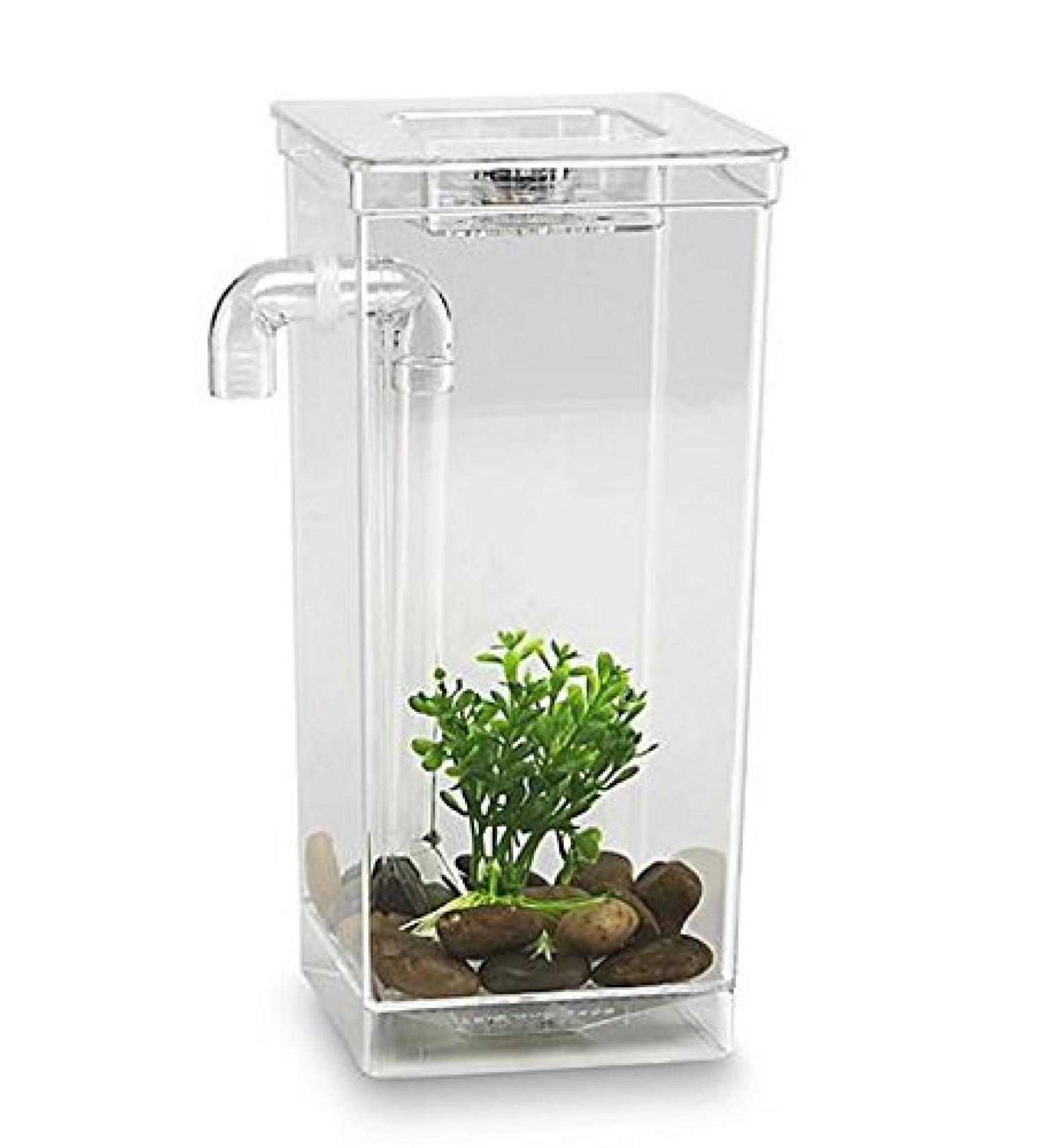 As Seen On TV 56028 My Fun Fish Tank, 4 3/4 x 6 x 10-Inch 1 Count (Pack of 1)