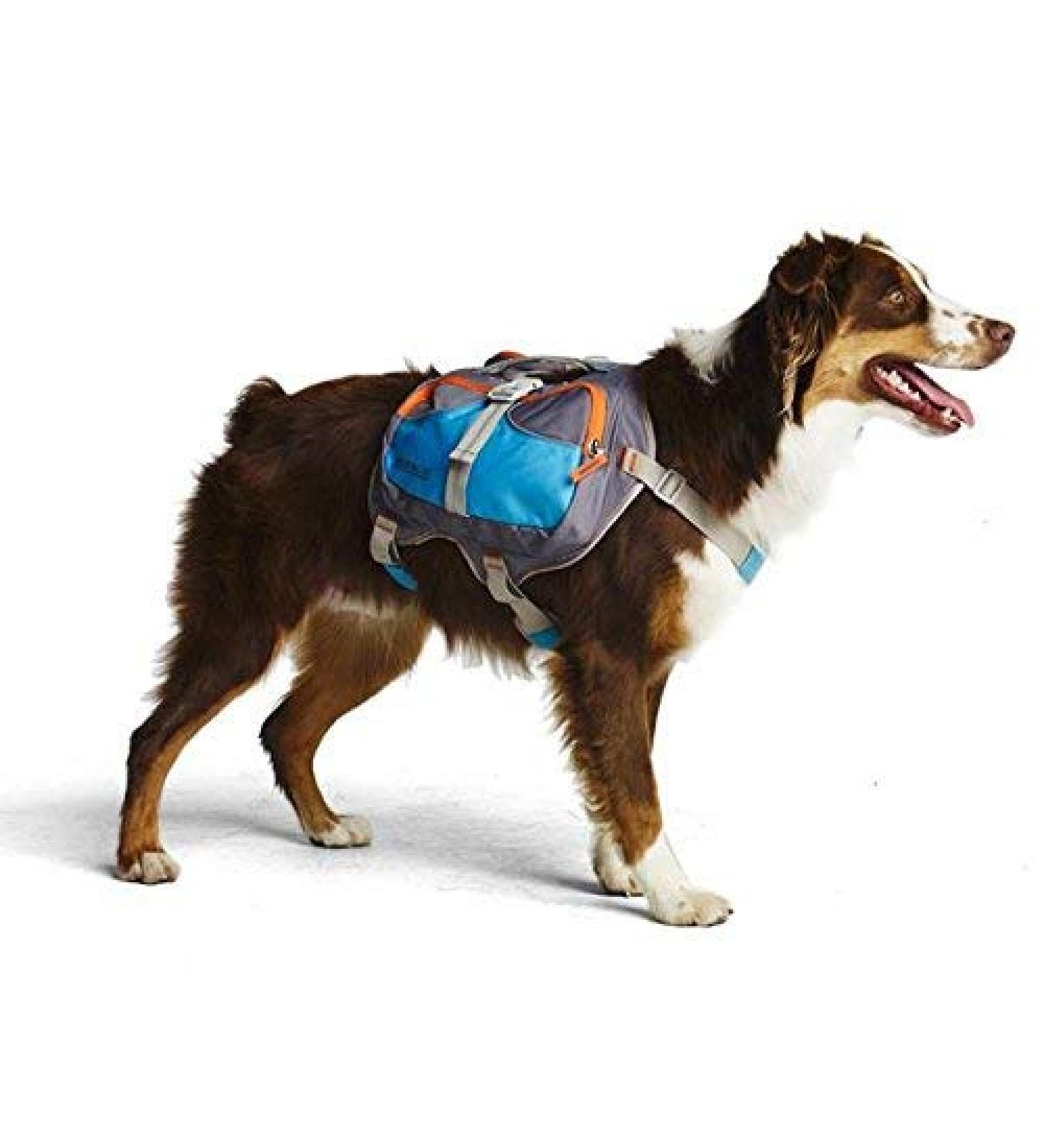 Cesar Millan Large Blue Dog Backpack - Travel in Style with Your Pup - Buy Online on SooperMarket.com