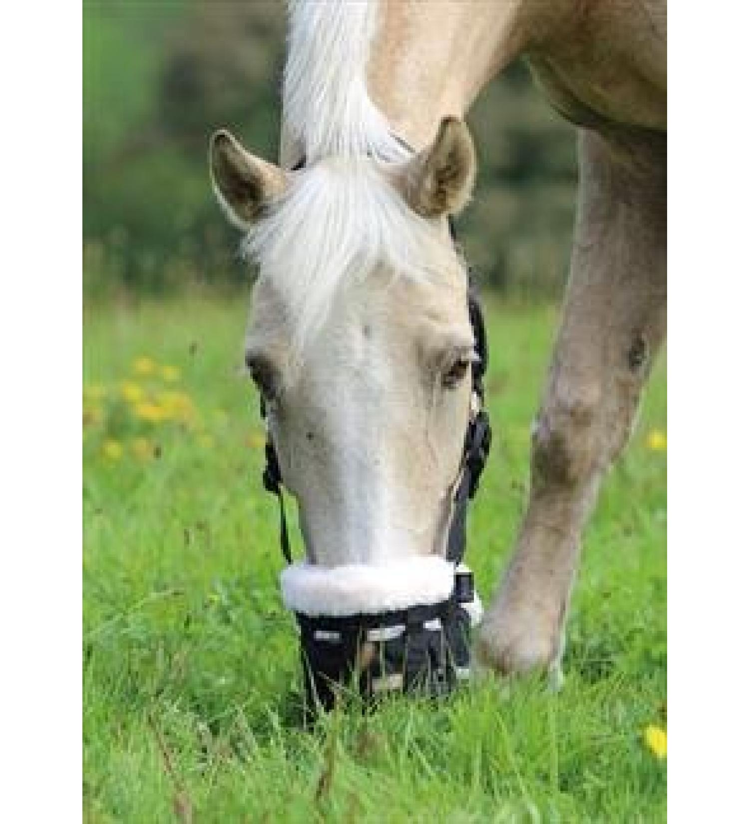 Shires Deluxe Grass Muzzle Pony
