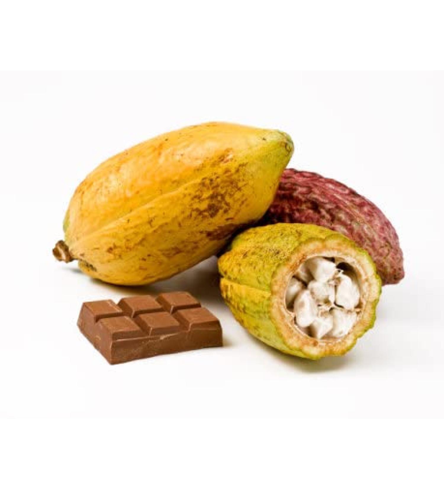 Cacao fruit - cocoa pods - Exotic fruit - Fresh from the Caribbean - Sourced by My Exotic Fruit
