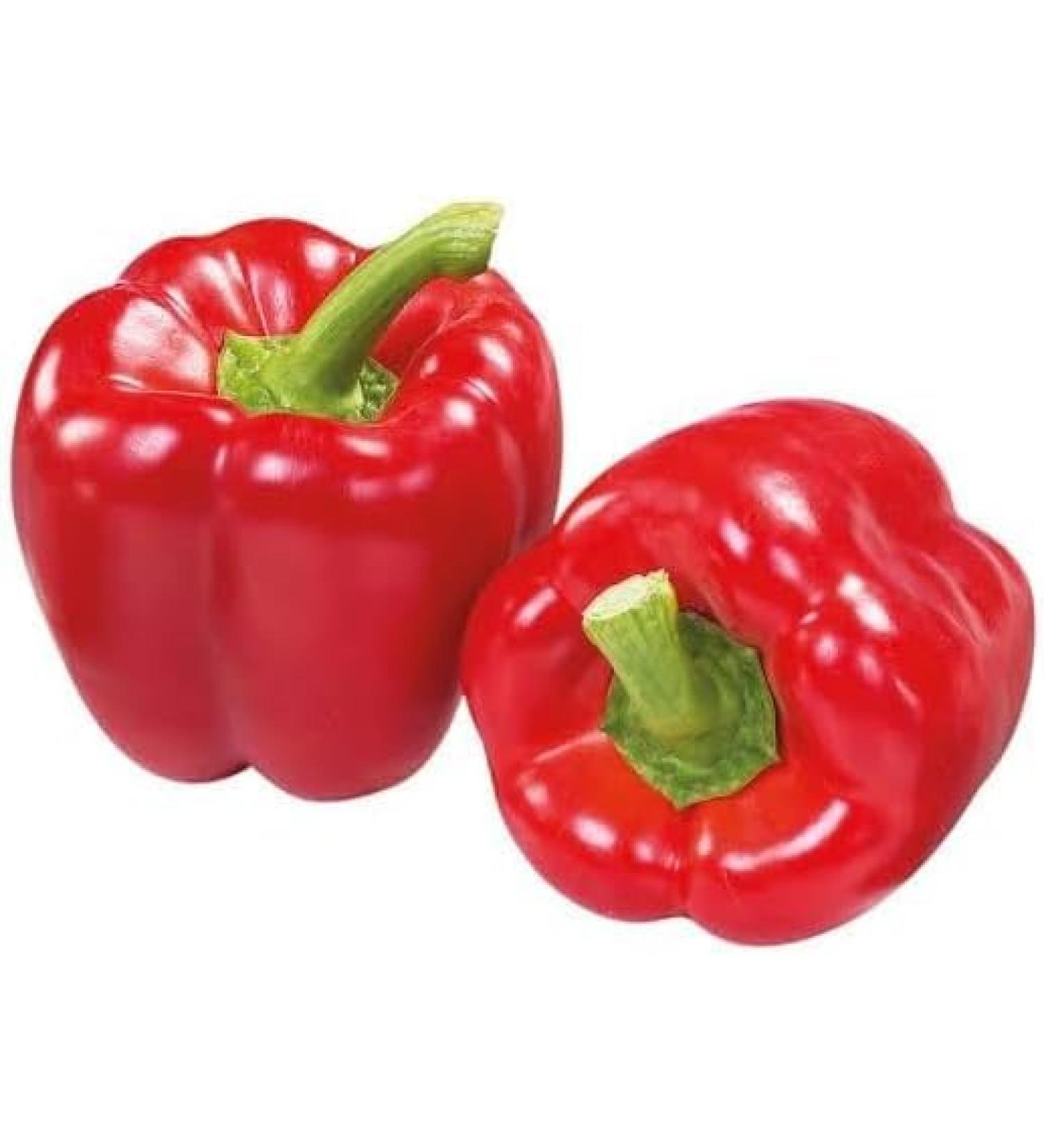 Seelans Paprica Red | 1KG | Red Capsicum | 100% Fresh Vegetable | Indian Origin | Next Day shipping - Buy Online on SooperMarket.com