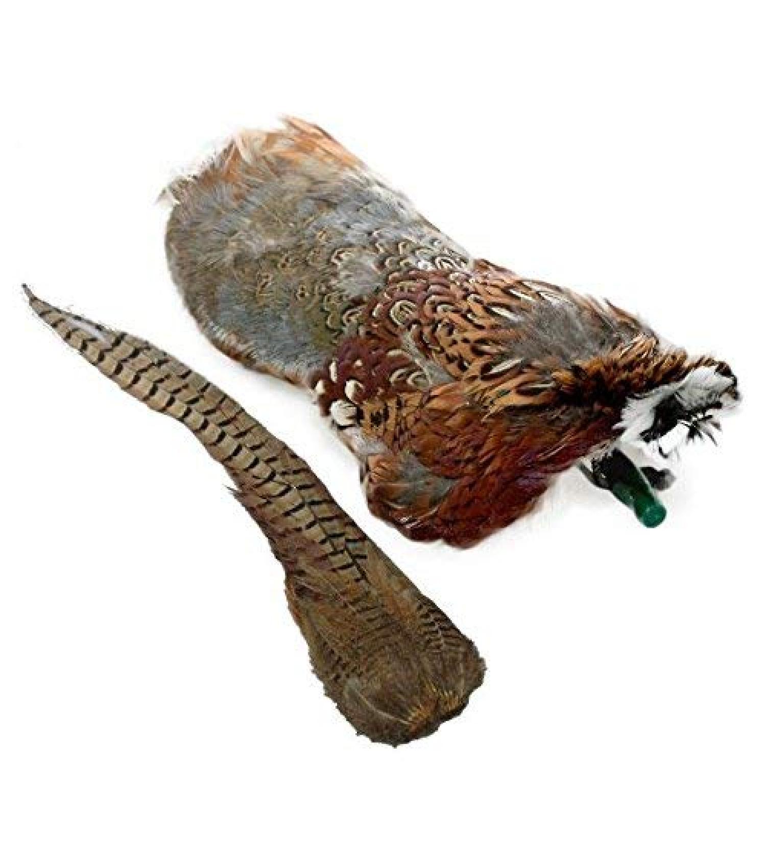 Romneys Pheasant Dummy 500g | Real Plumage & Feather Training Dummy for Hunting Dogs | Floatable Wild Dummy - Buy Online on SooperMarket.com