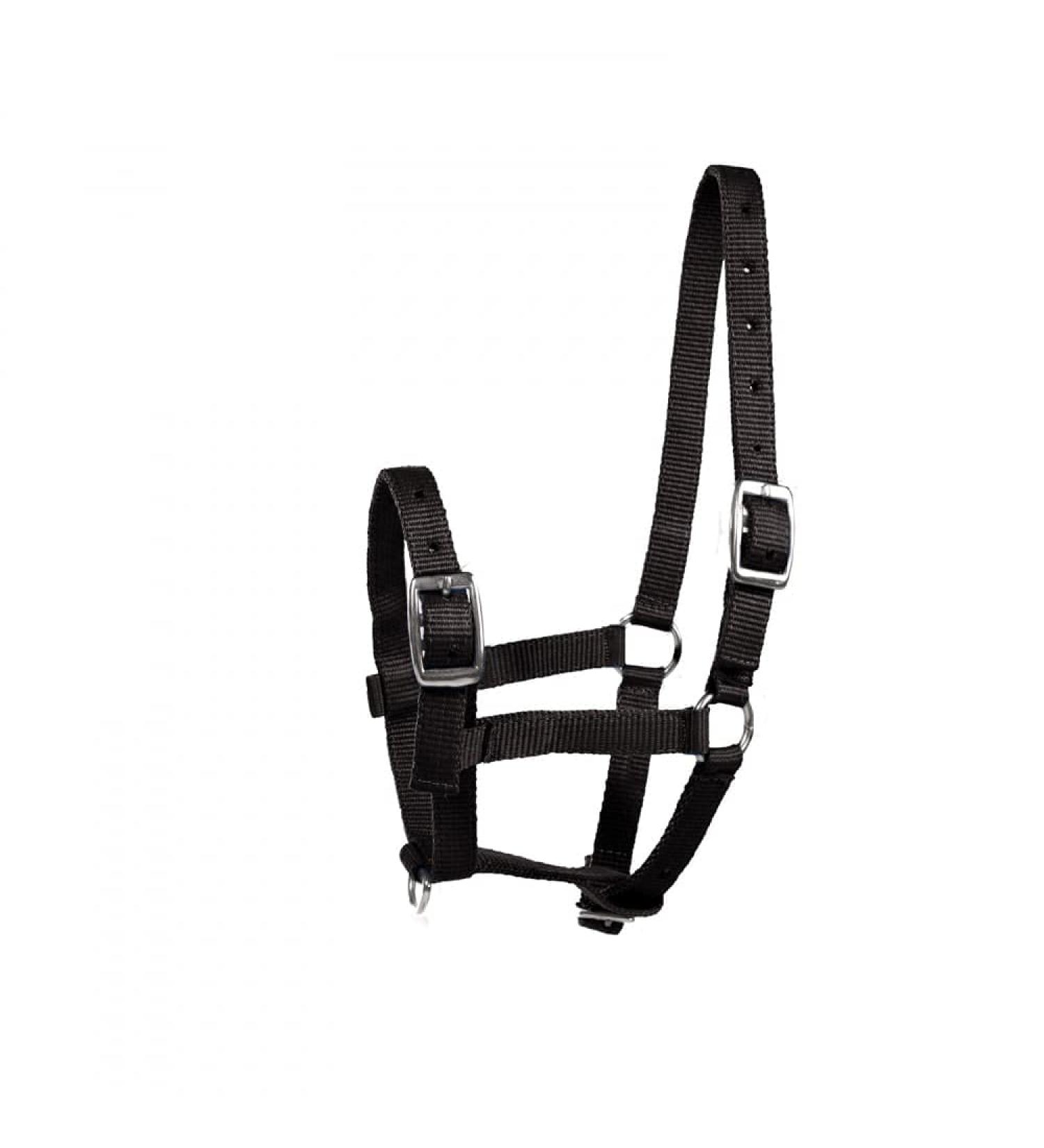 Adjustable Black Foal Halter for Colts, Fillies, and Miniature Horses by HORZE - Buy Online on SooperMarket.com