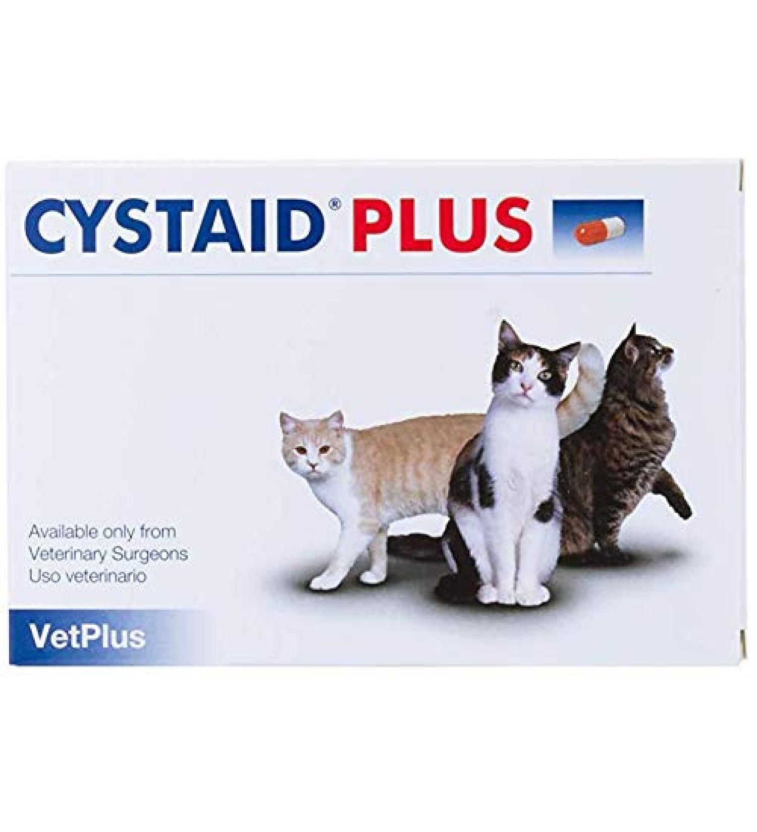 Cystaid Plus: Premium Urinary Health Supplement - International Shipping Available - Buy Online on SooperMarket.com