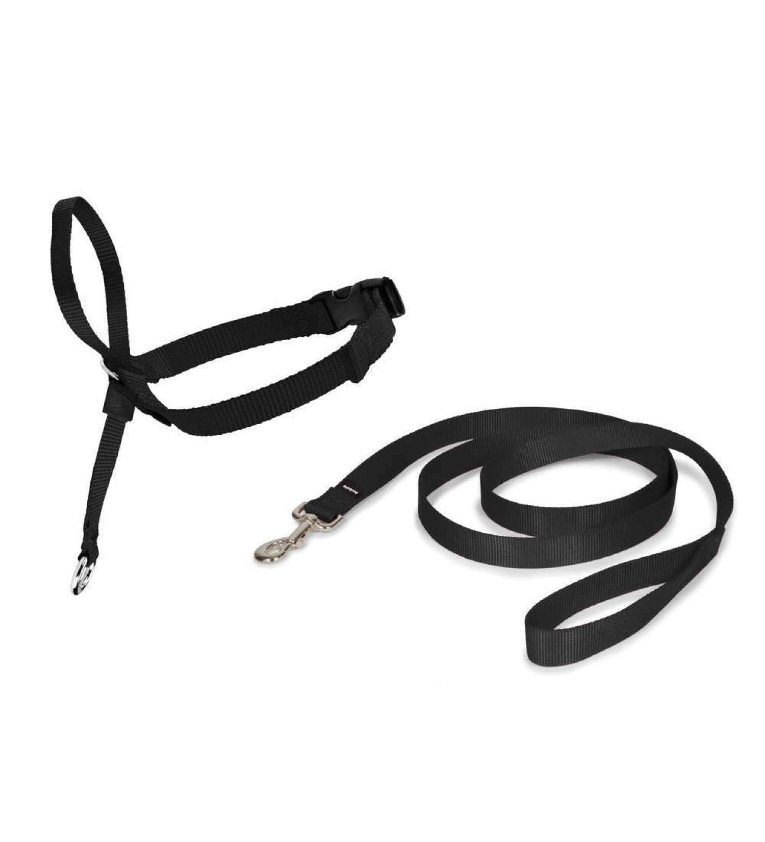 PetSafe Easy Walk Head Collar M Black - Gentle Training Solution for Dogs - Buy Online on SooperMarket.com