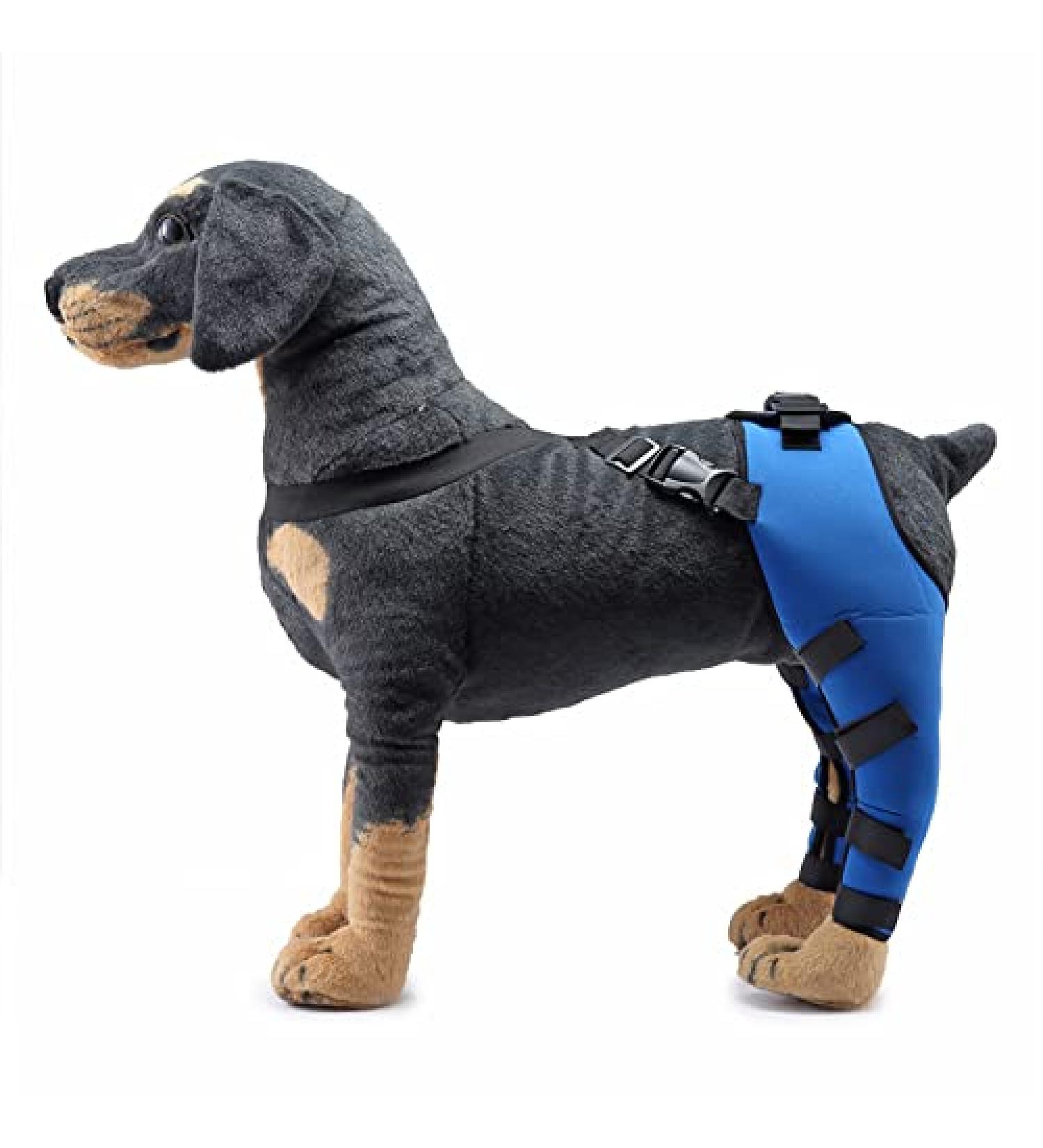 Pet Dog Knee Brace ACL Brace for Dogs Rear Leg Dog Braces for Back Leg for Support for Heals Prevents Injuries Sprains Blue Large Large Blue - Buy Online on SooperMarket.com
